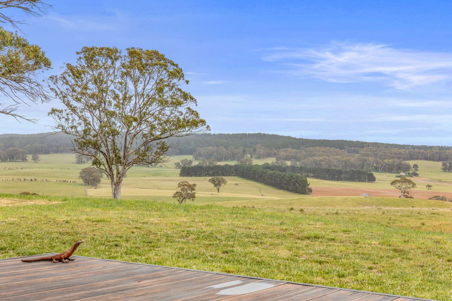 222 Cranfield Road, Chatham Valley For Sale by Farmbuy.com - image 20