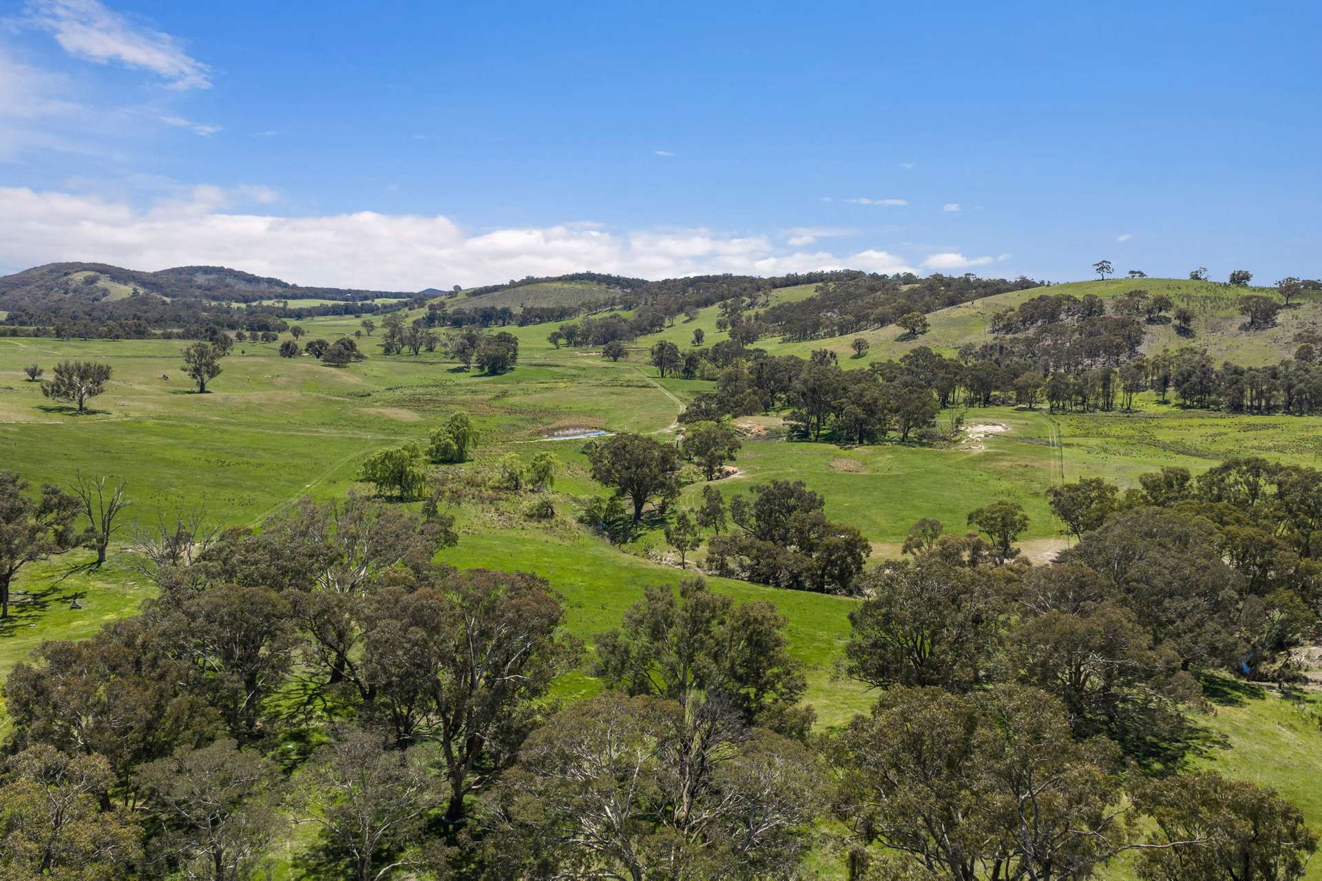 "Wattle Grove "1649 Coolalie Road, Yass For Sale by Farmbuy.com - image 13