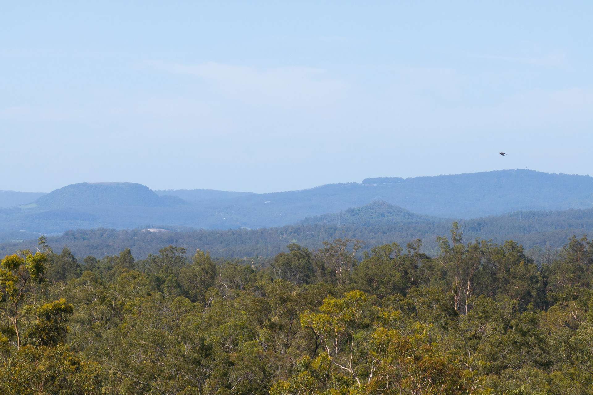 'Banyula' Lot 154 Fifteen Mile Road, Fifteen Mile Sold by Farmbuy.com - image 5
