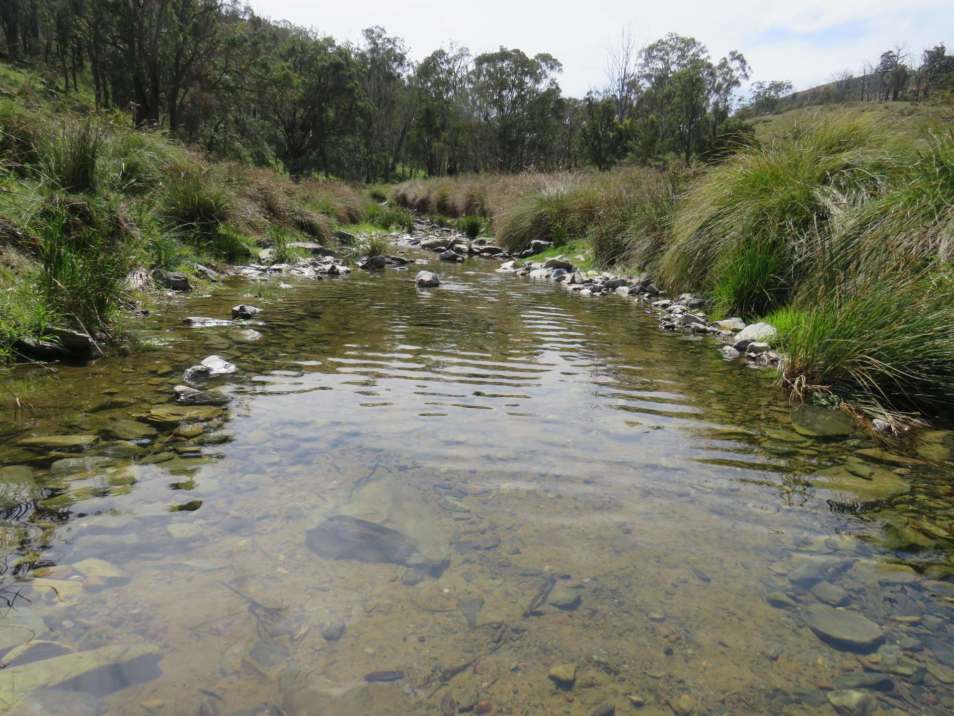 "Arawa" 2388 Campfire Road, Walcha For Sale by Farmbuy.com - image 9