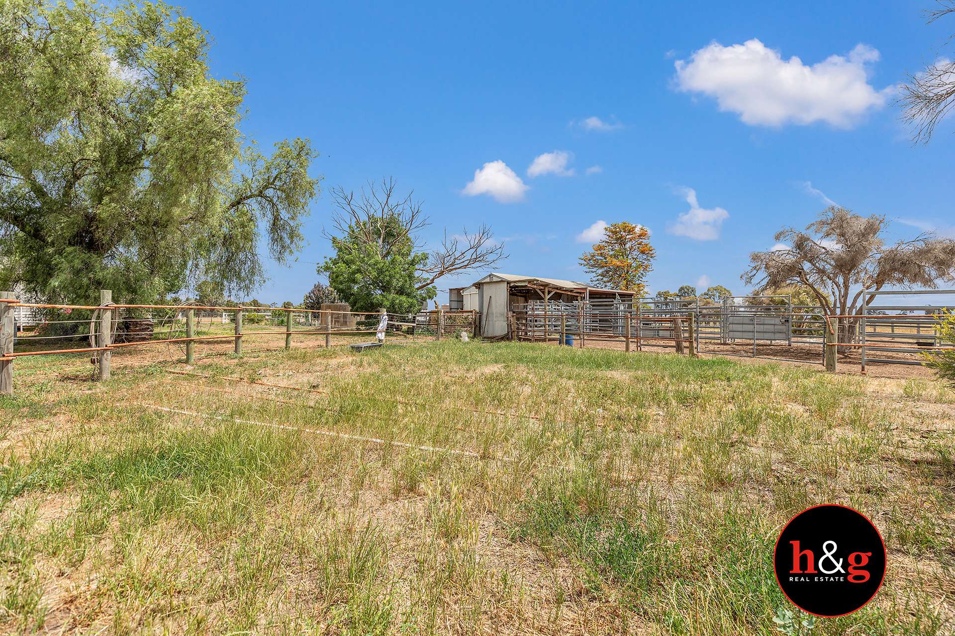 1650 Girgarre East Rd, Girgarre East For Sale by Farmbuy.com - image 24