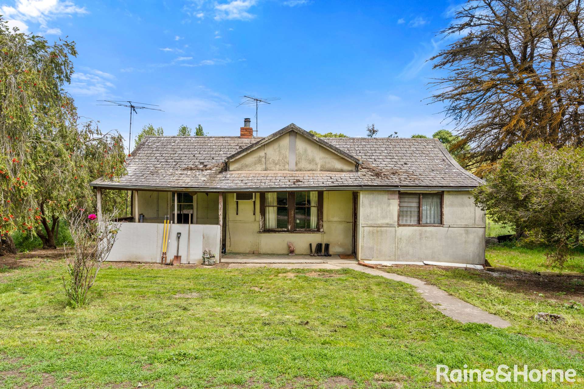 5 Reid Road, Paris Creek Sold by Farmbuy.com - image 10