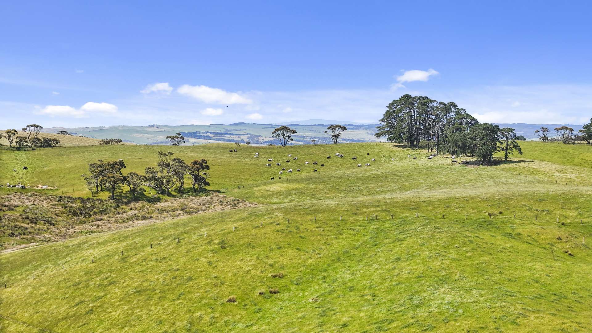 137 Faggotter Road, Myponga Sold by Farmbuy.com - image 10