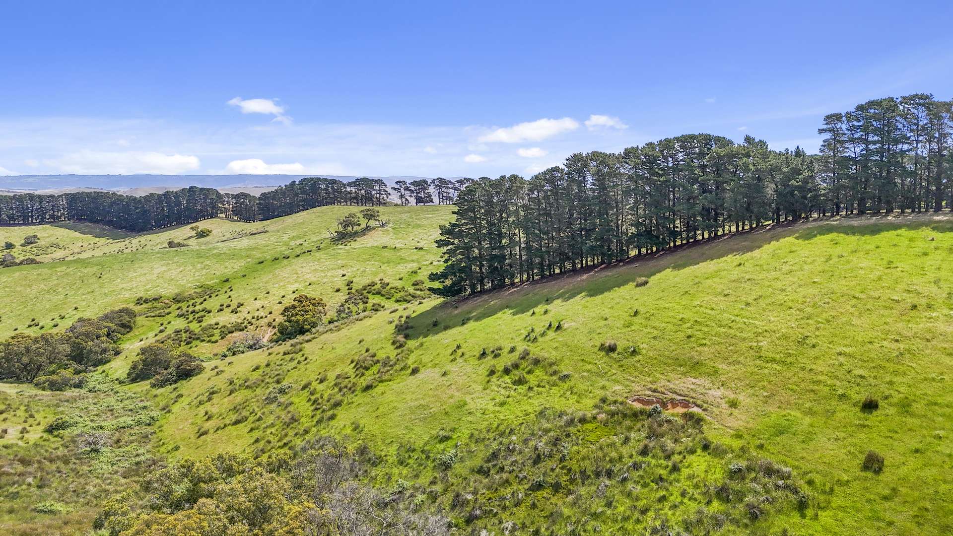 137 Faggotter Road, Myponga Sold by Farmbuy.com - image 26