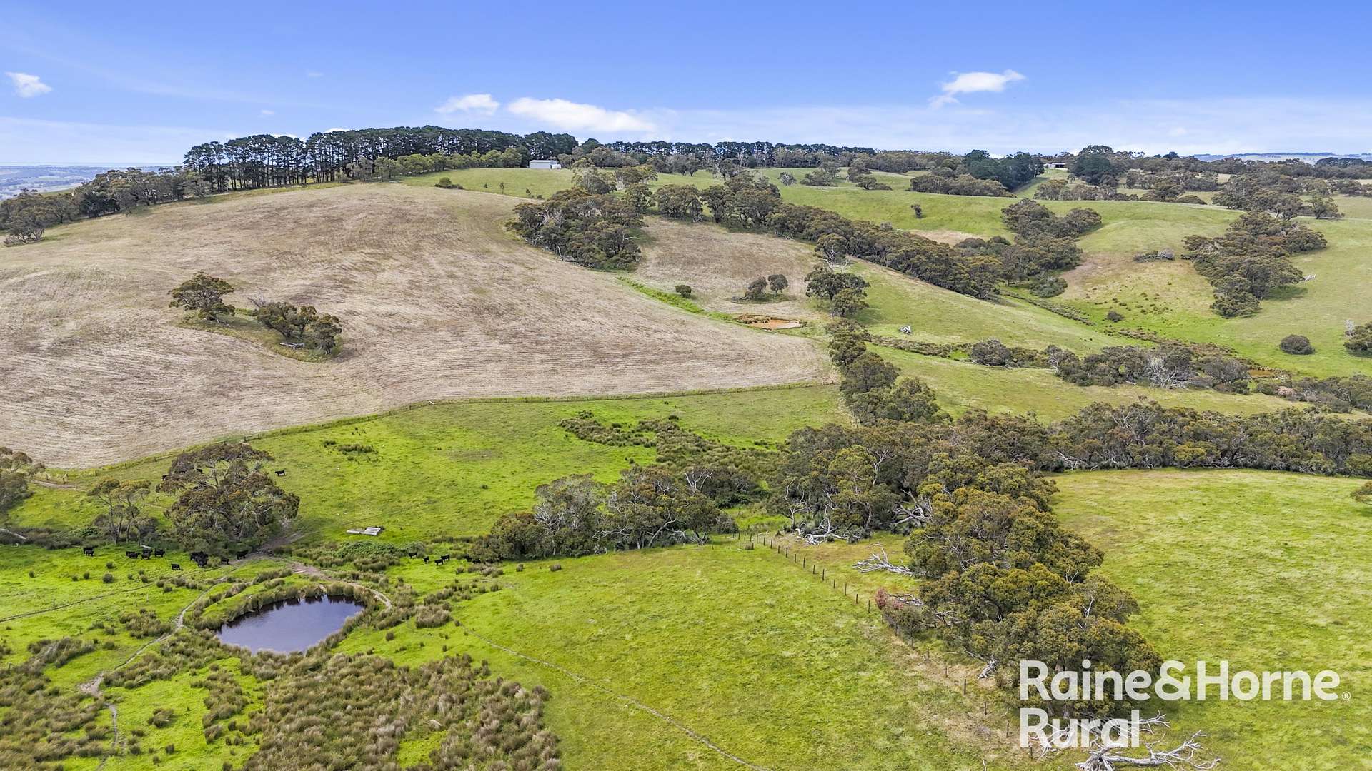 803 James Track, Myponga Sold by Farmbuy.com - image 13