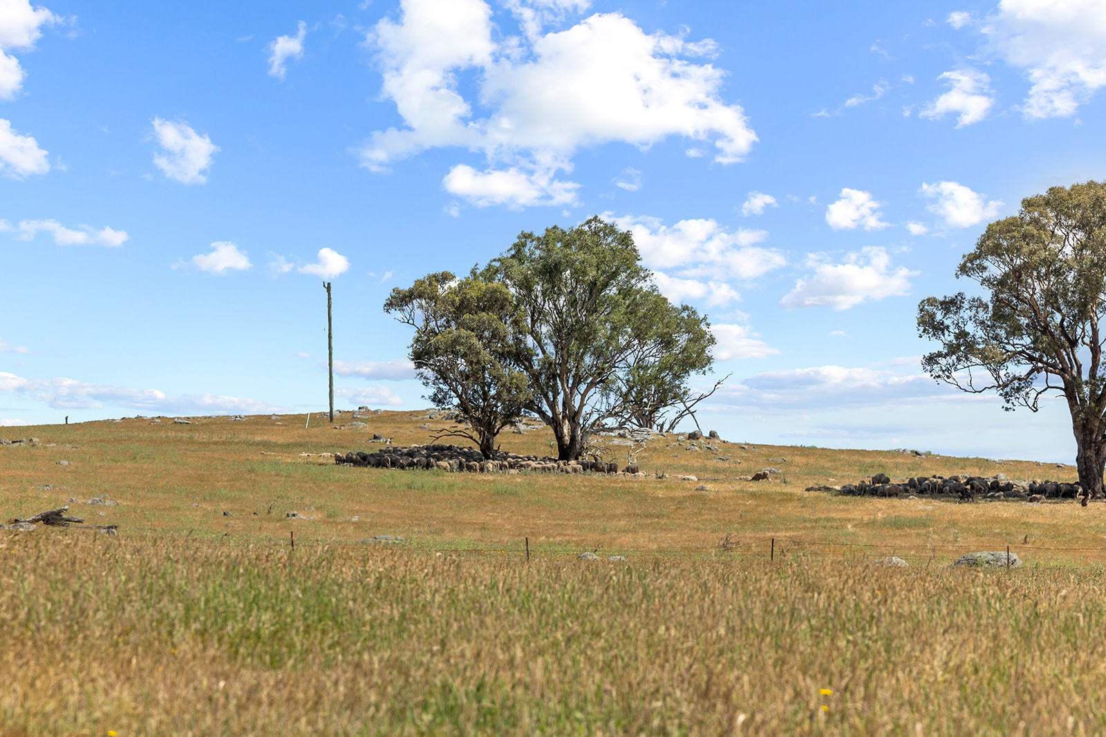 193 Lucernvale Road, Yass For Sale by Farmbuy.com - image 24