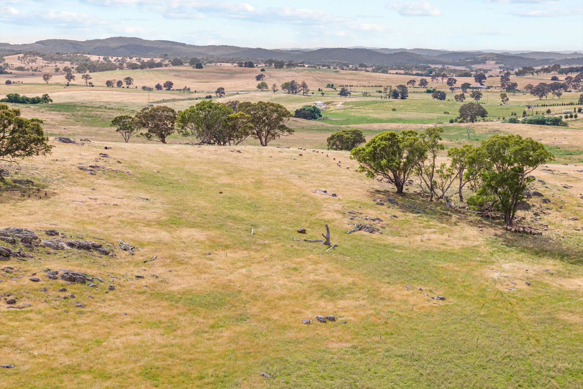 193 Lucernvale Road, Yass For Sale by Farmbuy.com - image 2