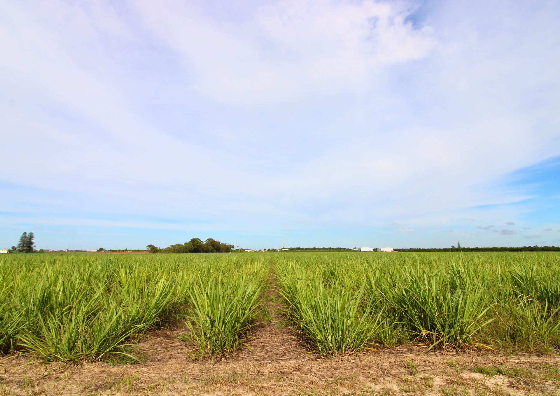 Lot 2 Barazzas Road, Alloway For Sale by Farmbuy.com - image 3