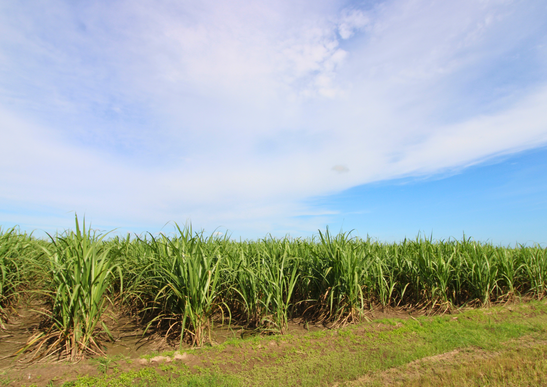 Lot 2 Barazzas Road, Alloway For Sale by Farmbuy.com - image 7