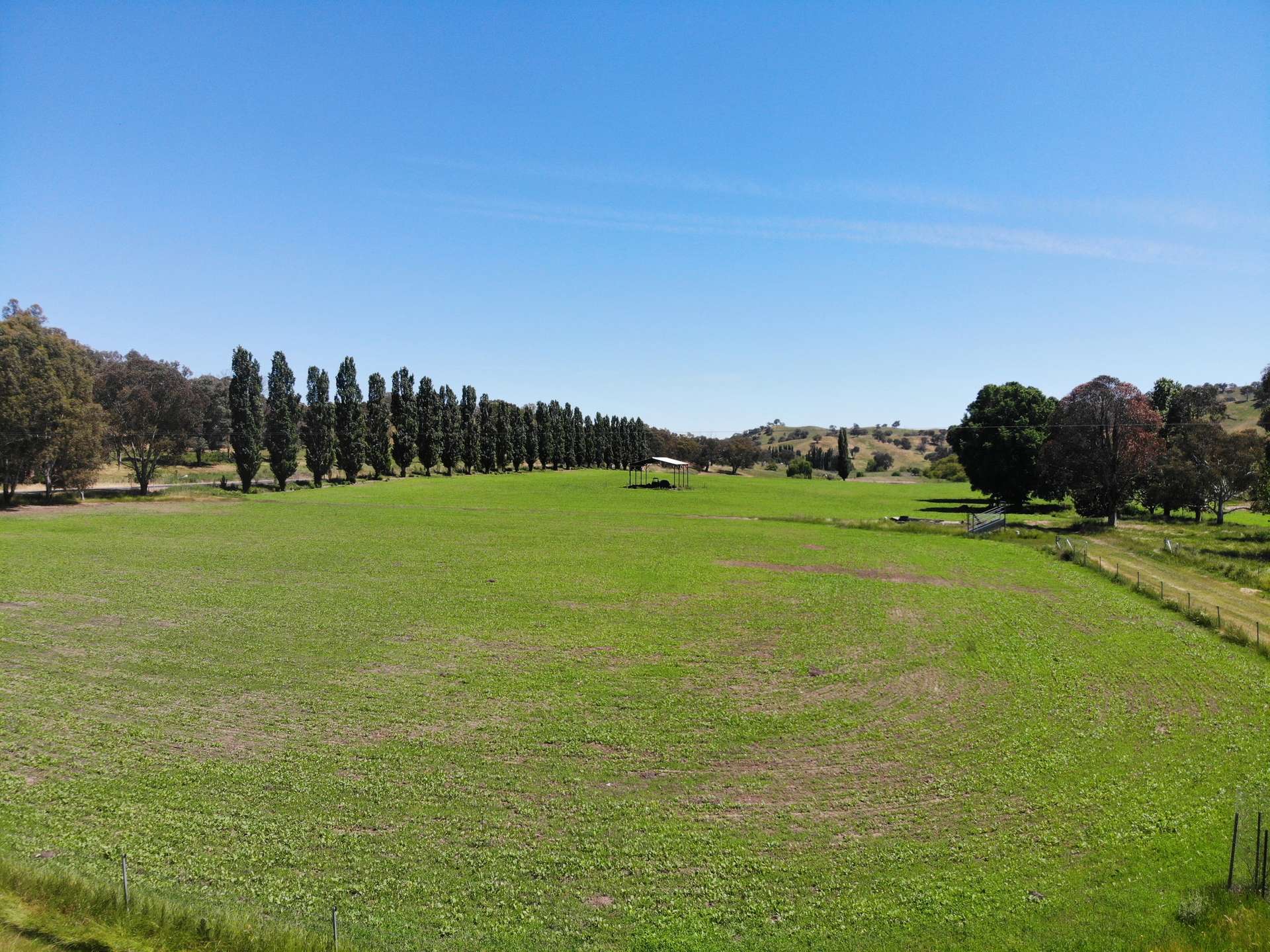 4108 Snowy Mountains Highway, Adelong For Sale by Farmbuy.com - image 15
