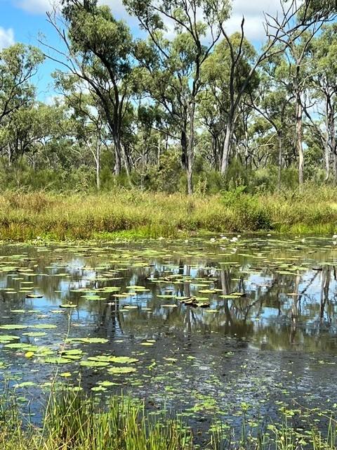 Lot 23 Gordon Glen Road, Bowen For Sale by Farmbuy.com - image 2