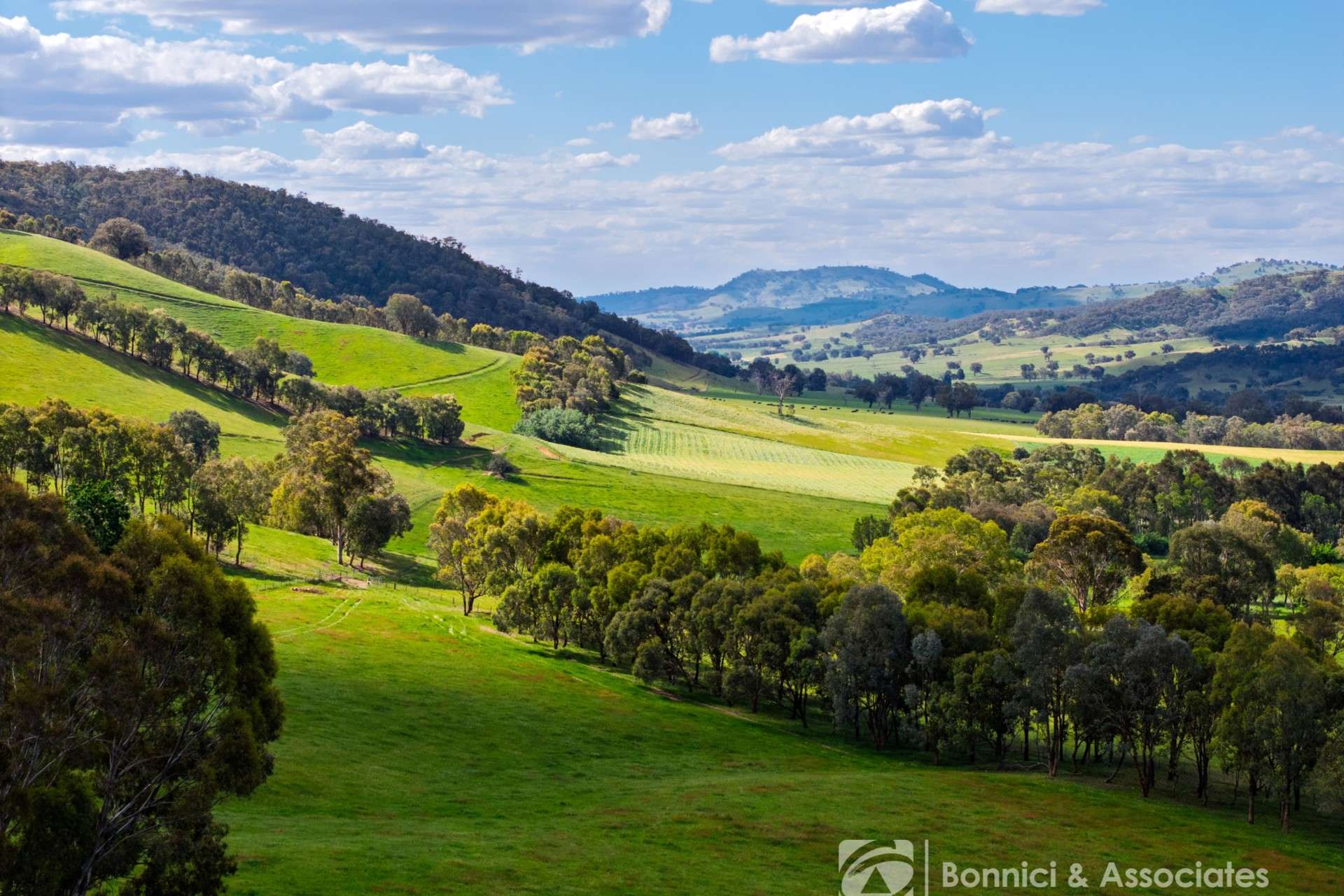 Lot 2, PS917939 Indigo Creek Road, Indigo Valley For Sale by Farmbuy.com - image 1