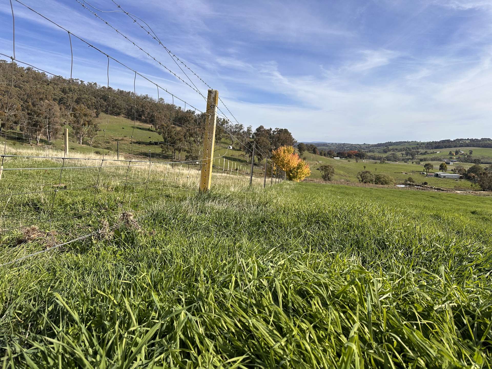 580 Batlow Road, Tumbarumba For Sale by Farmbuy.com - image 9