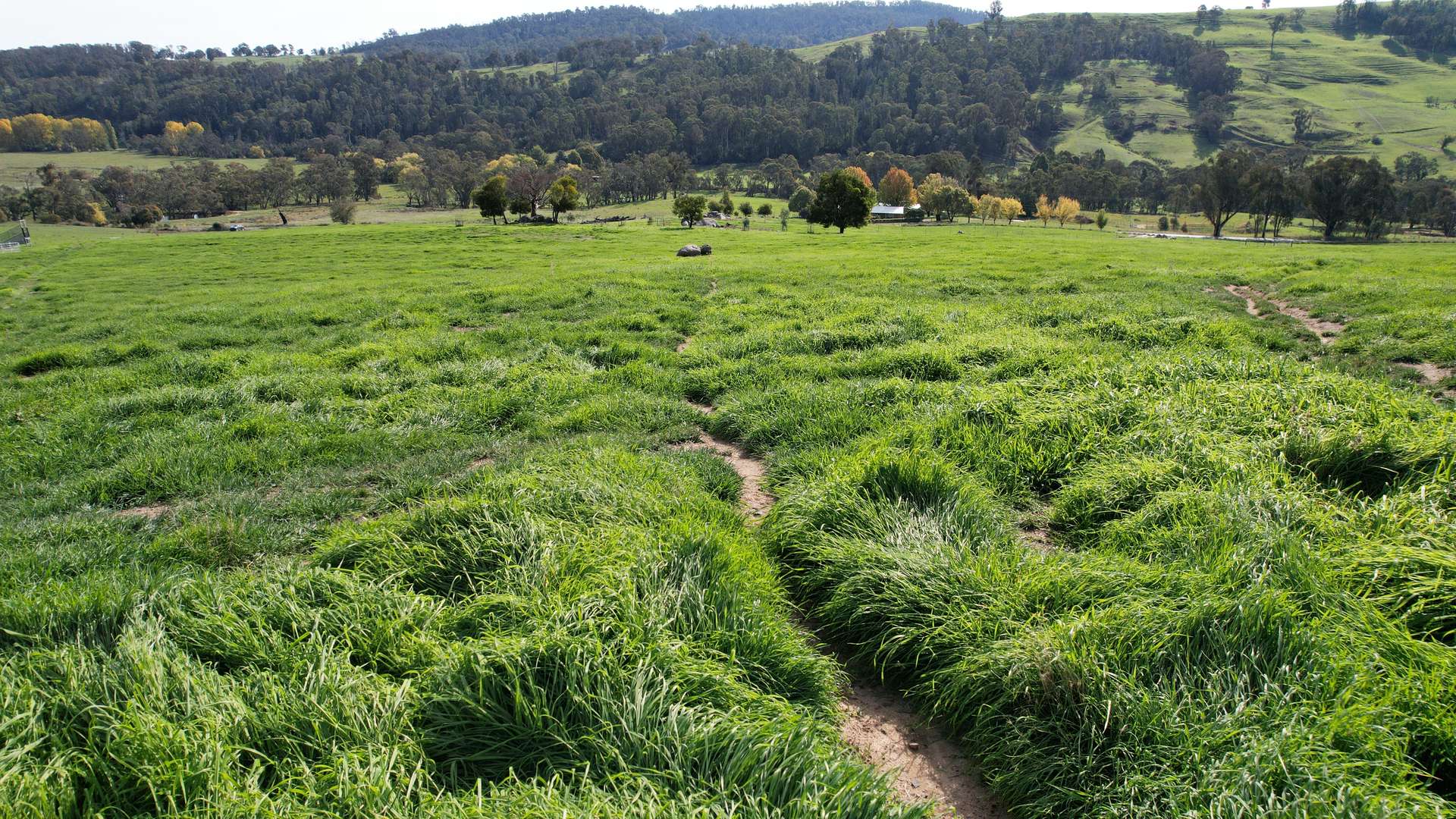 580 Batlow Road, Tumbarumba For Sale by Farmbuy.com - image 3