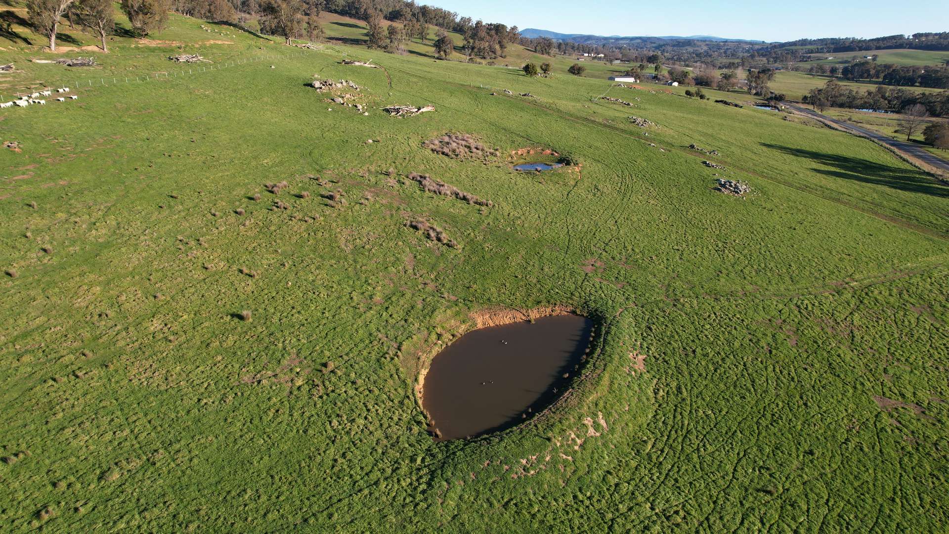 580 Batlow Road, Tumbarumba For Sale by Farmbuy.com - image 15