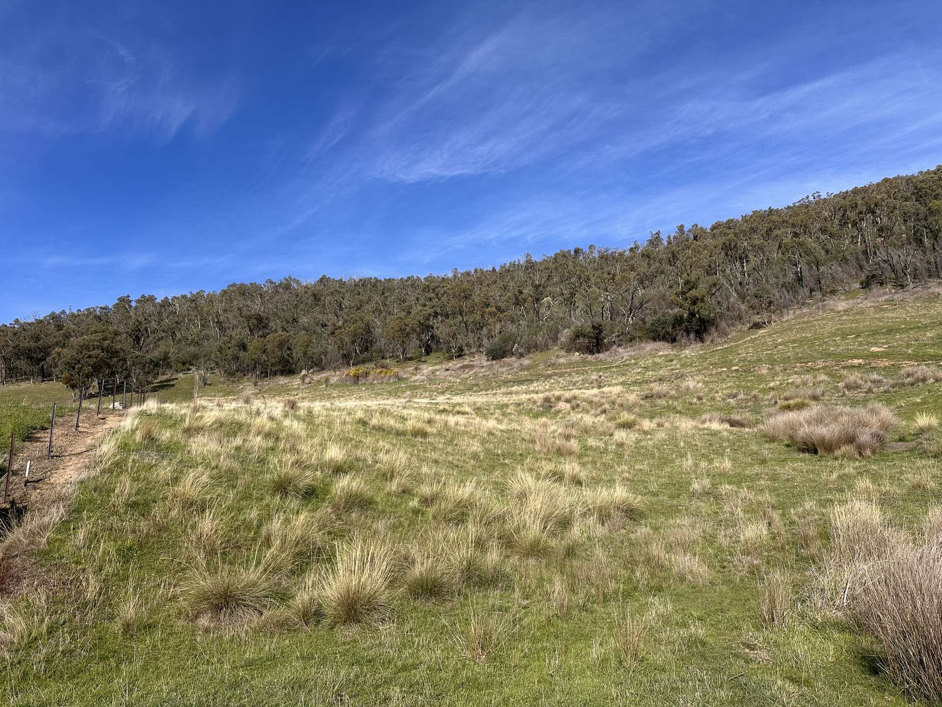 580 Batlow Road, Tumbarumba For Sale by Farmbuy.com - image 11