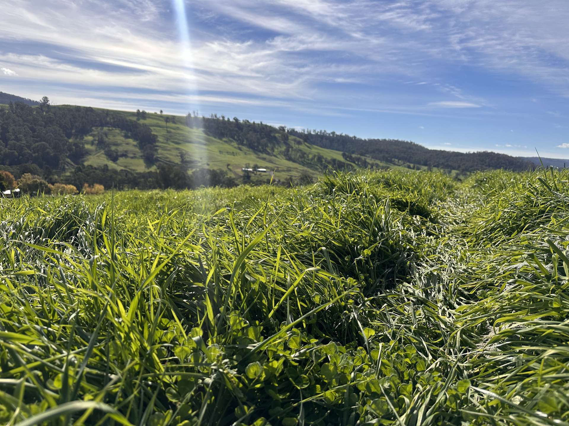 580 Batlow Road, Tumbarumba For Sale by Farmbuy.com - image 2