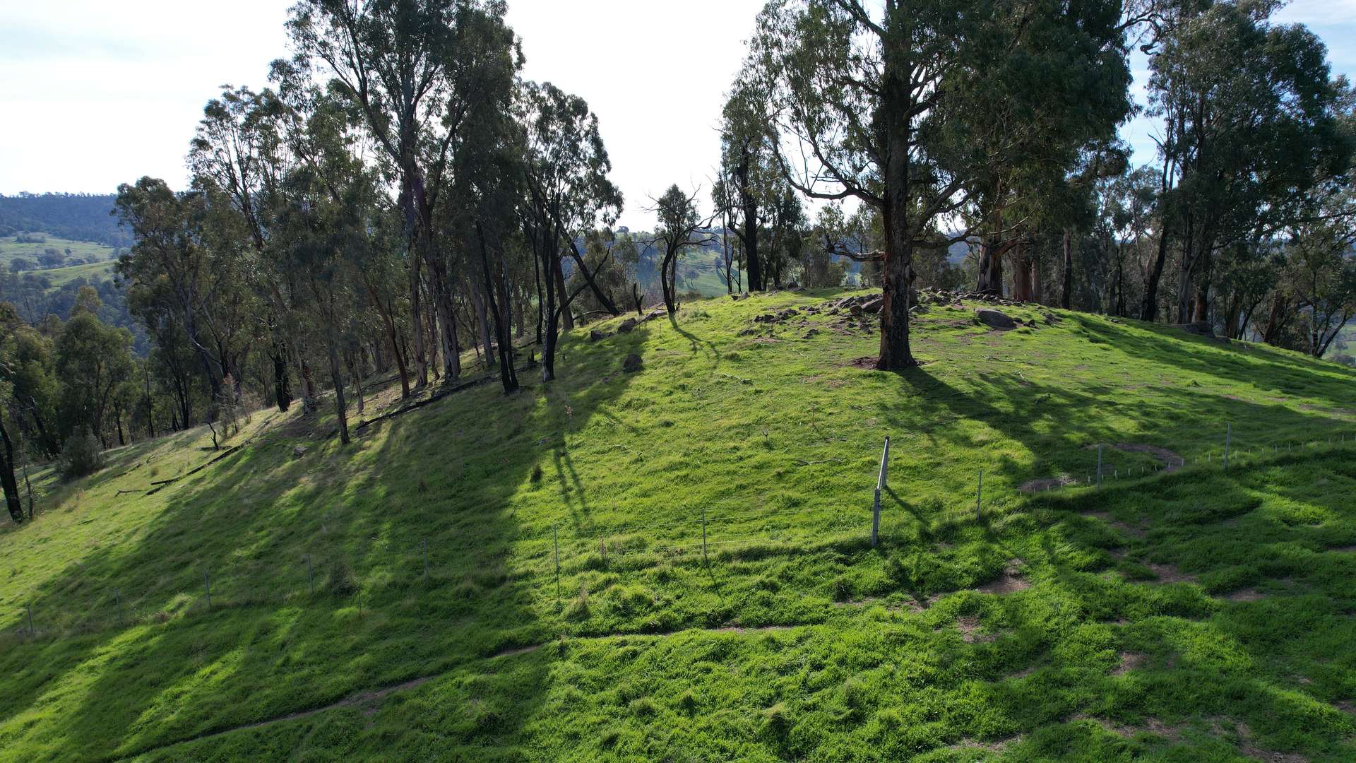 580 Batlow Road, Tumbarumba For Sale by Farmbuy.com - image 7
