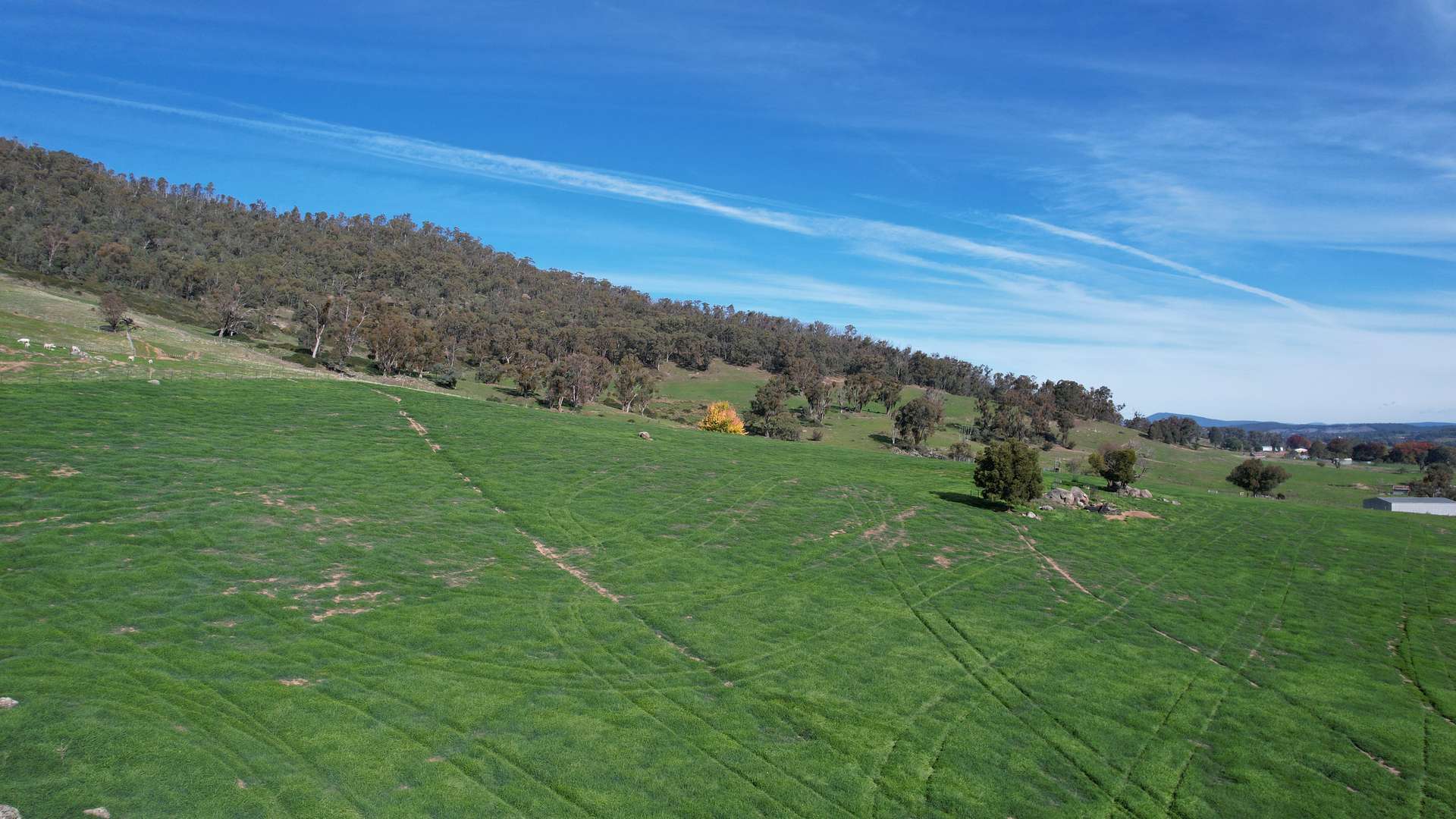 580 Batlow Road, Tumbarumba For Sale by Farmbuy.com - image 6