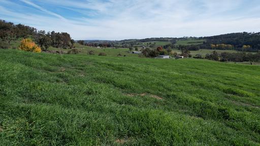 580 Batlow Road, Tumbarumba NSW 2653