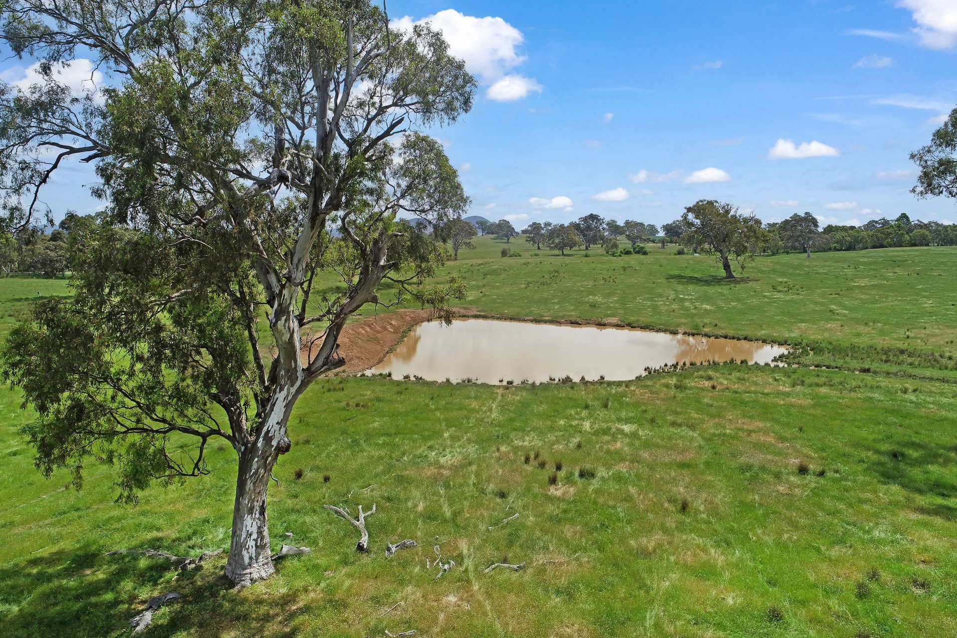 3 Carlisle Hill Road, Mansfield For Sale by Farmbuy.com - image 6