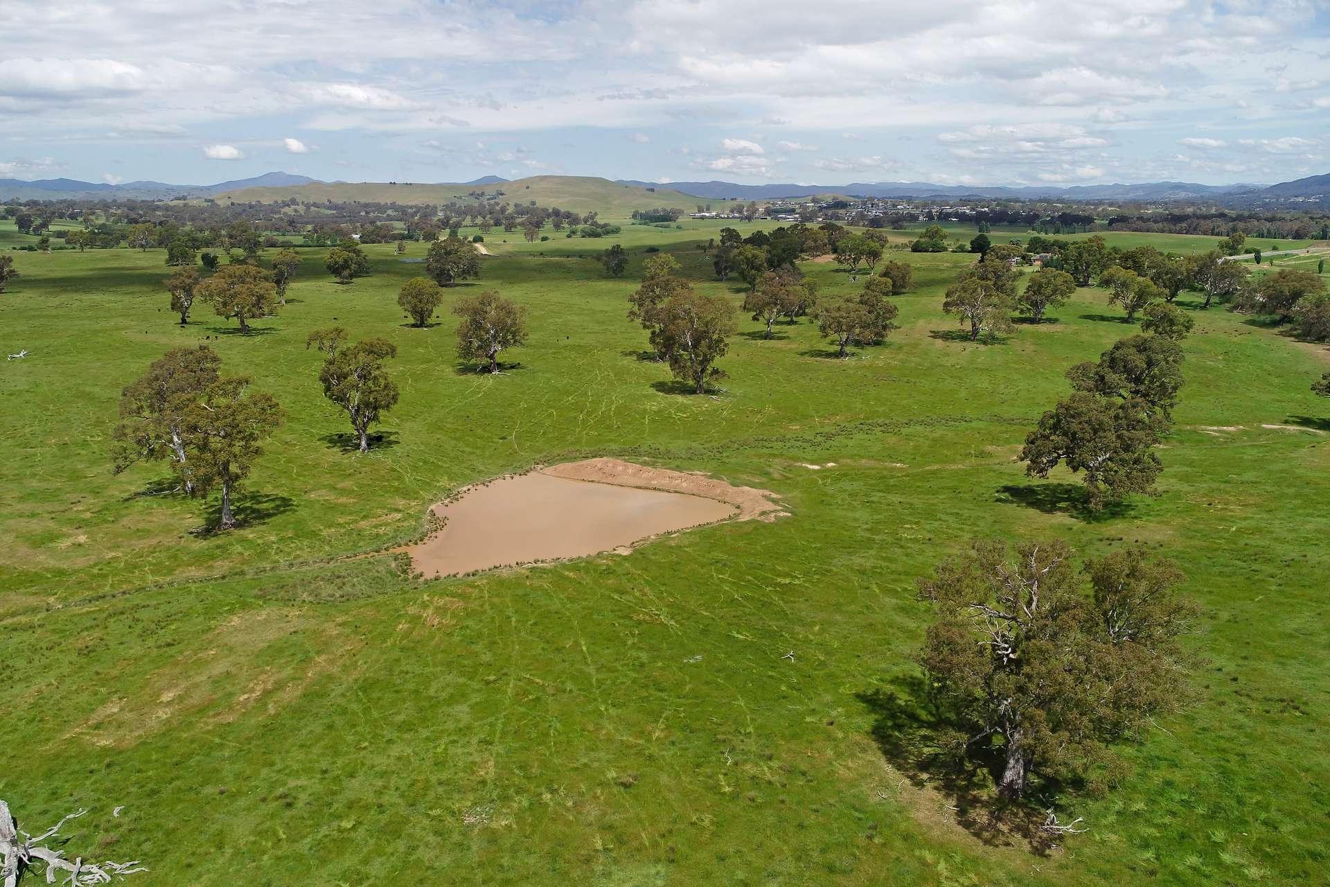 3 Carlisle Hill Road, Mansfield For Sale by Farmbuy.com - image 4