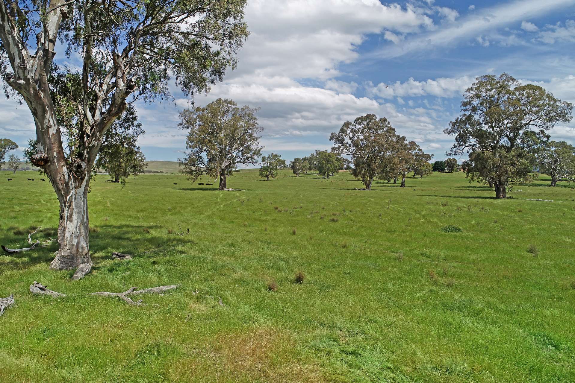3 Carlisle Hill Road, Mansfield For Sale by Farmbuy.com - image 15