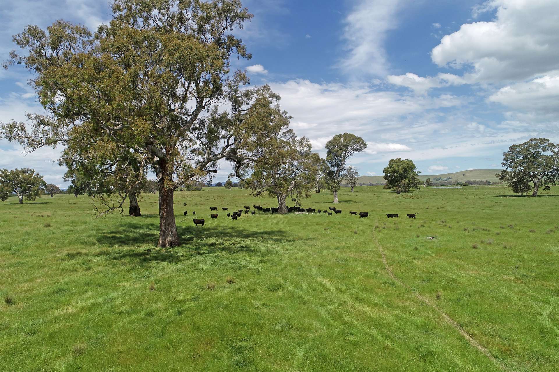 3 Carlisle Hill Road, Mansfield For Sale by Farmbuy.com - image 3