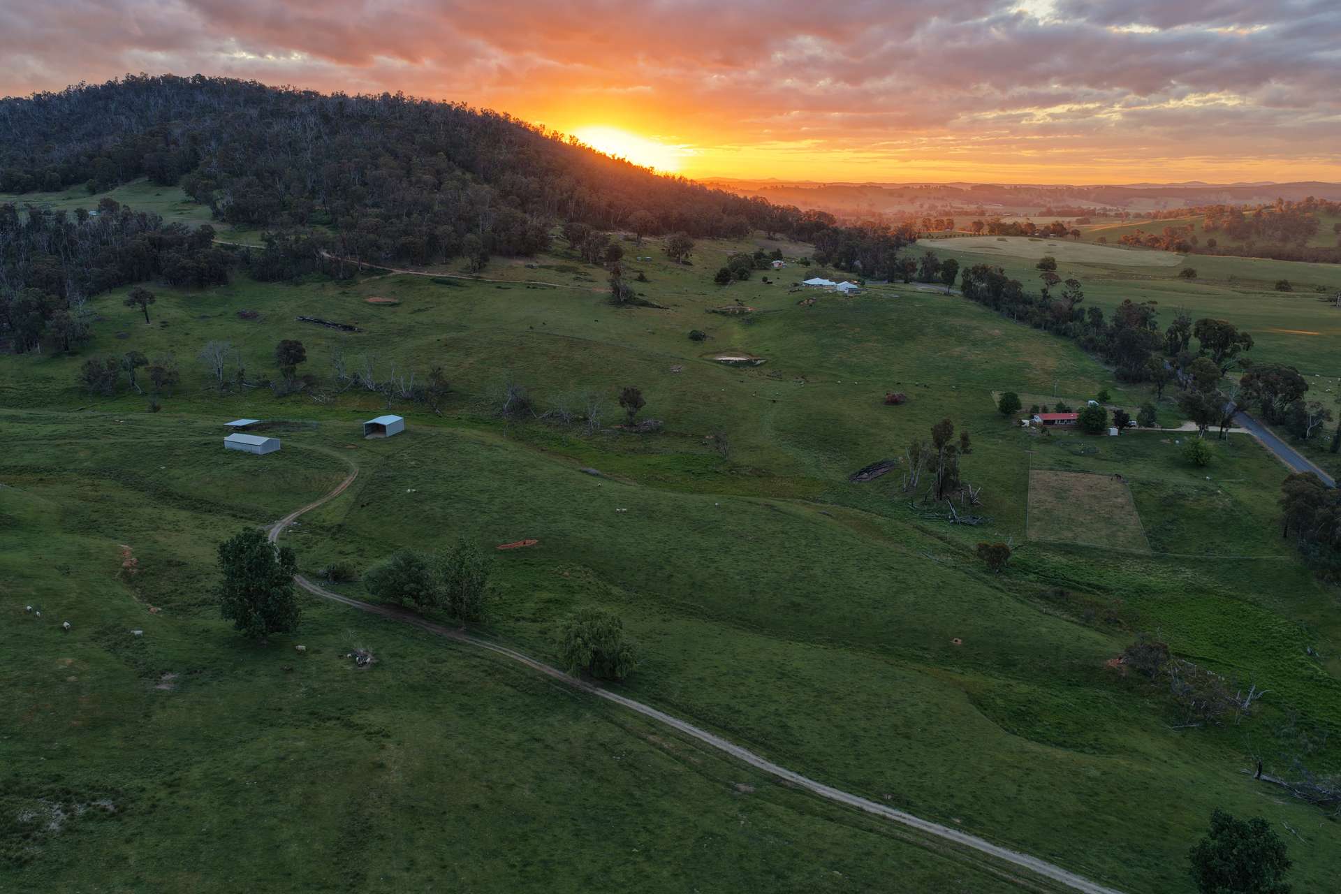 954 Courabyra Road, Tumbarumba For Sale by Farmbuy.com - image 8