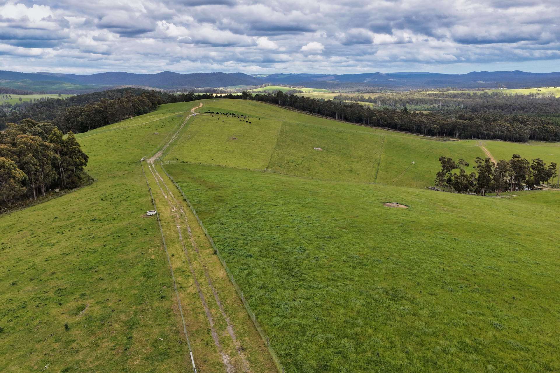 62 Bridport Back Road, Nabowla For Sale by Farmbuy.com - image 8