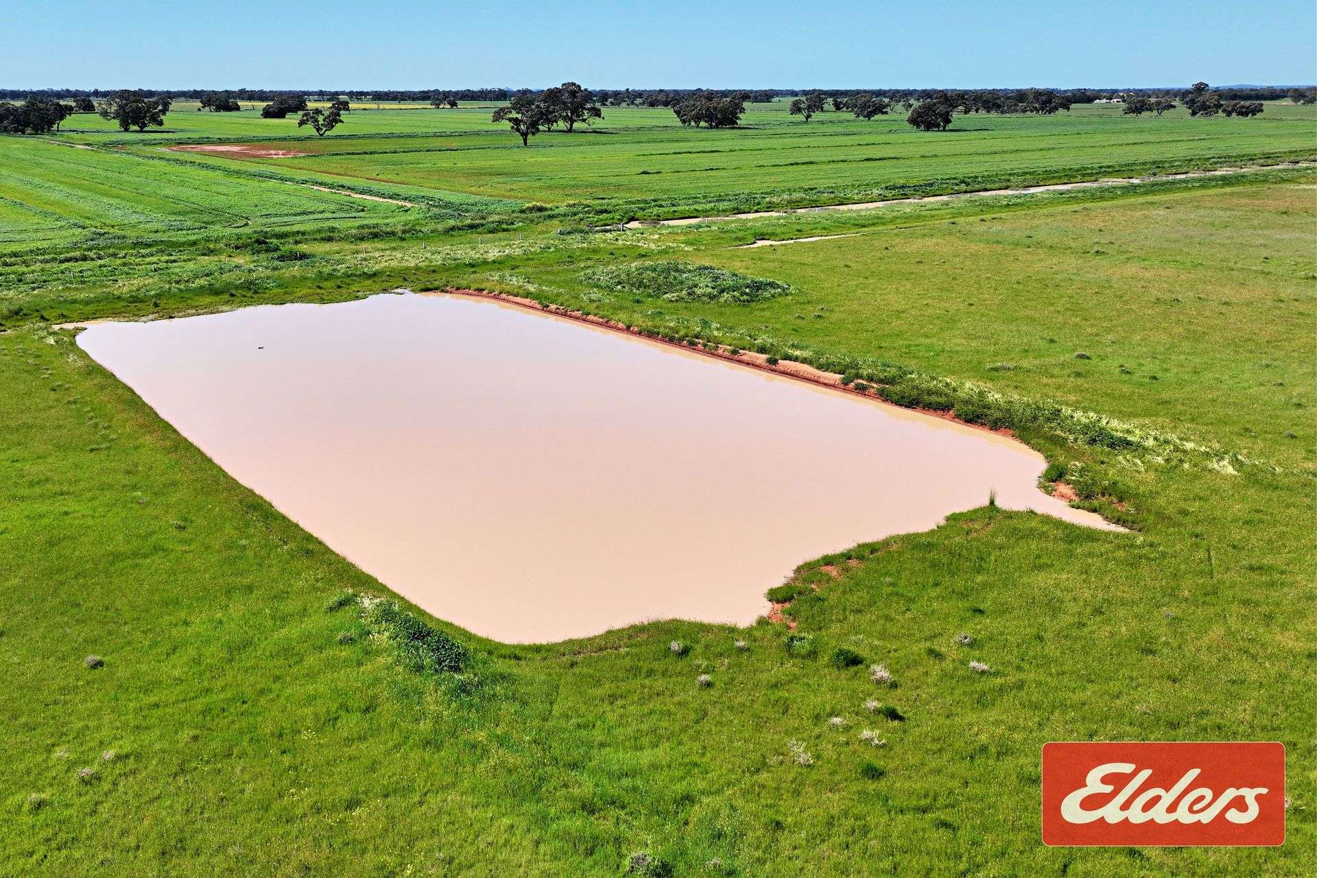 'Spring Grove' 298 Yarrawalla West Road, Yarrawalla For Sale by Farmbuy.com - image 18