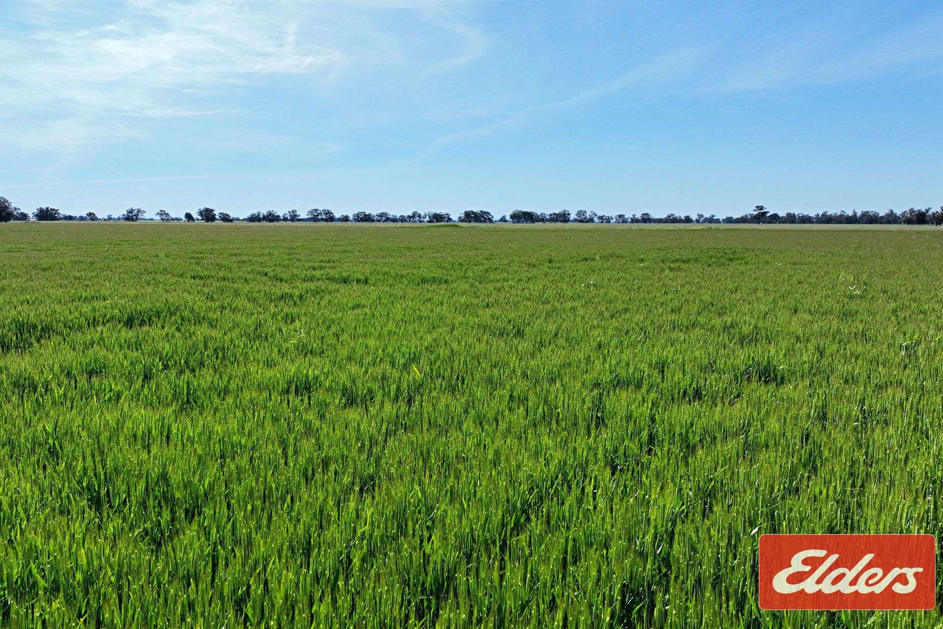 'Spring Grove' 298 Yarrawalla West Road, Yarrawalla For Sale by Farmbuy.com - image 17