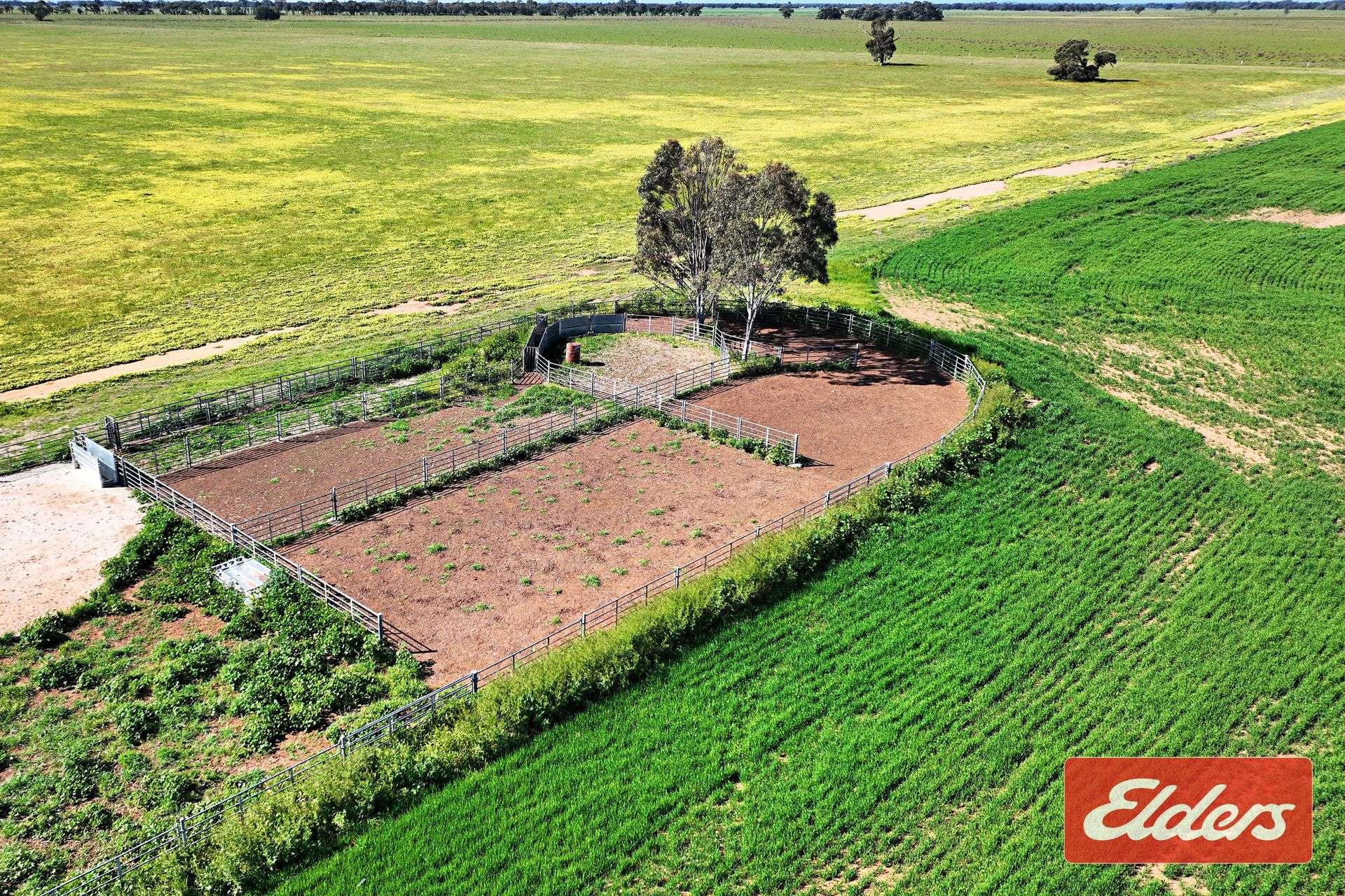 'Spring Grove' 298 Yarrawalla West Road, Yarrawalla For Sale by Farmbuy.com - image 21