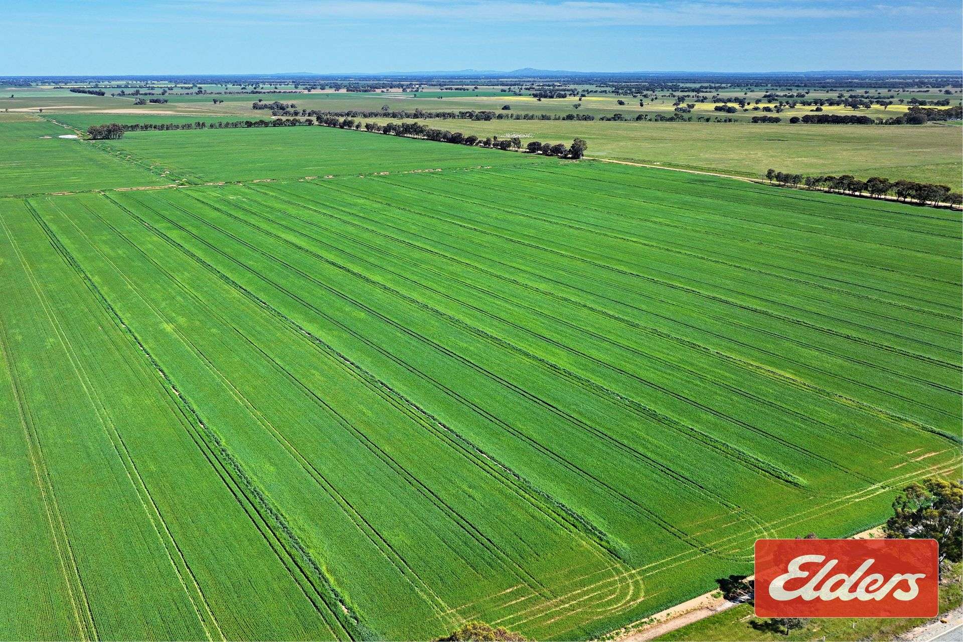 'Spring Grove' 298 Yarrawalla West Road, Yarrawalla For Sale by Farmbuy.com - image 19