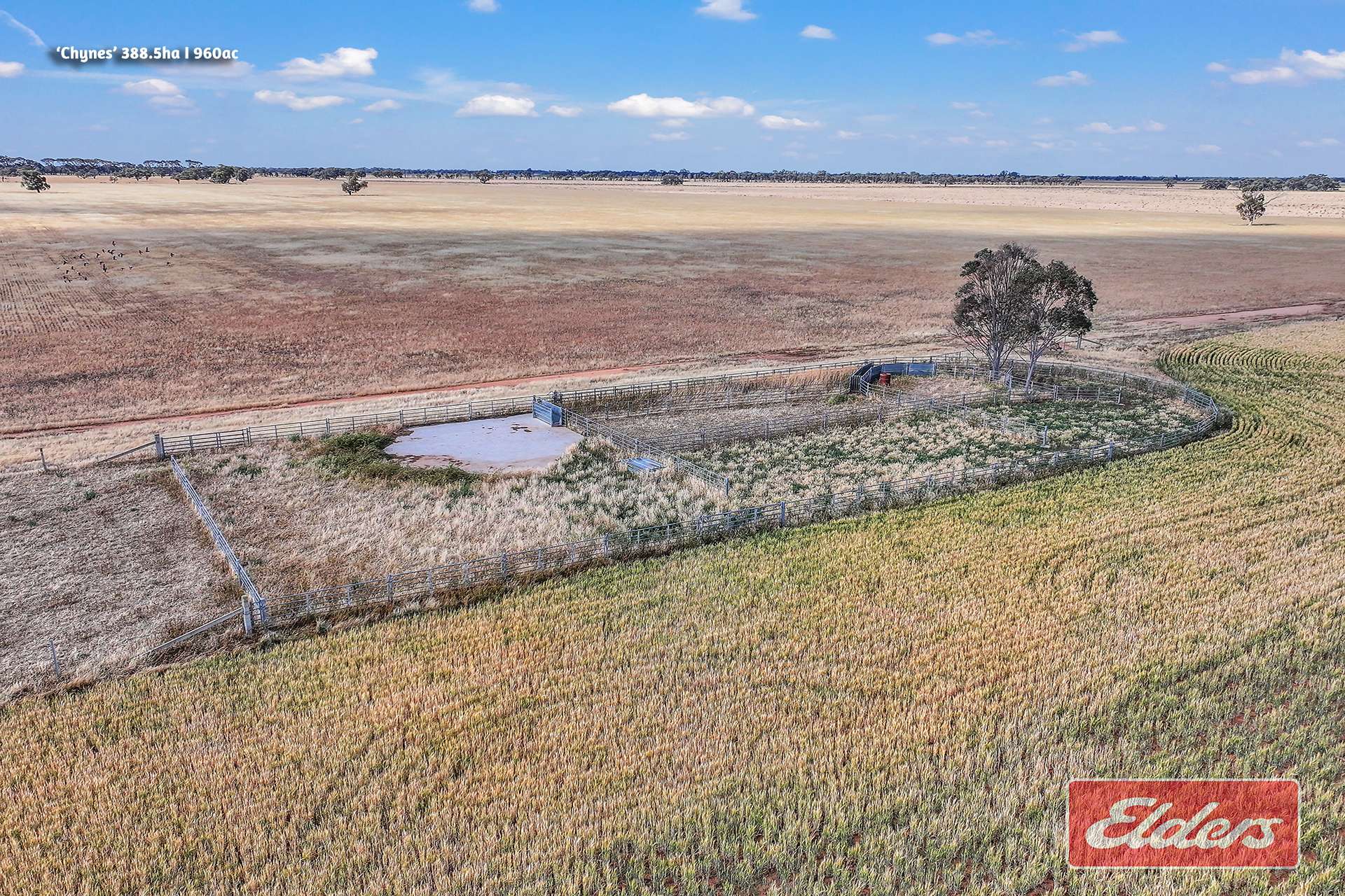 298 Yarrawalla West Road, Yarrawalla For Sale by Farmbuy.com - image 22
