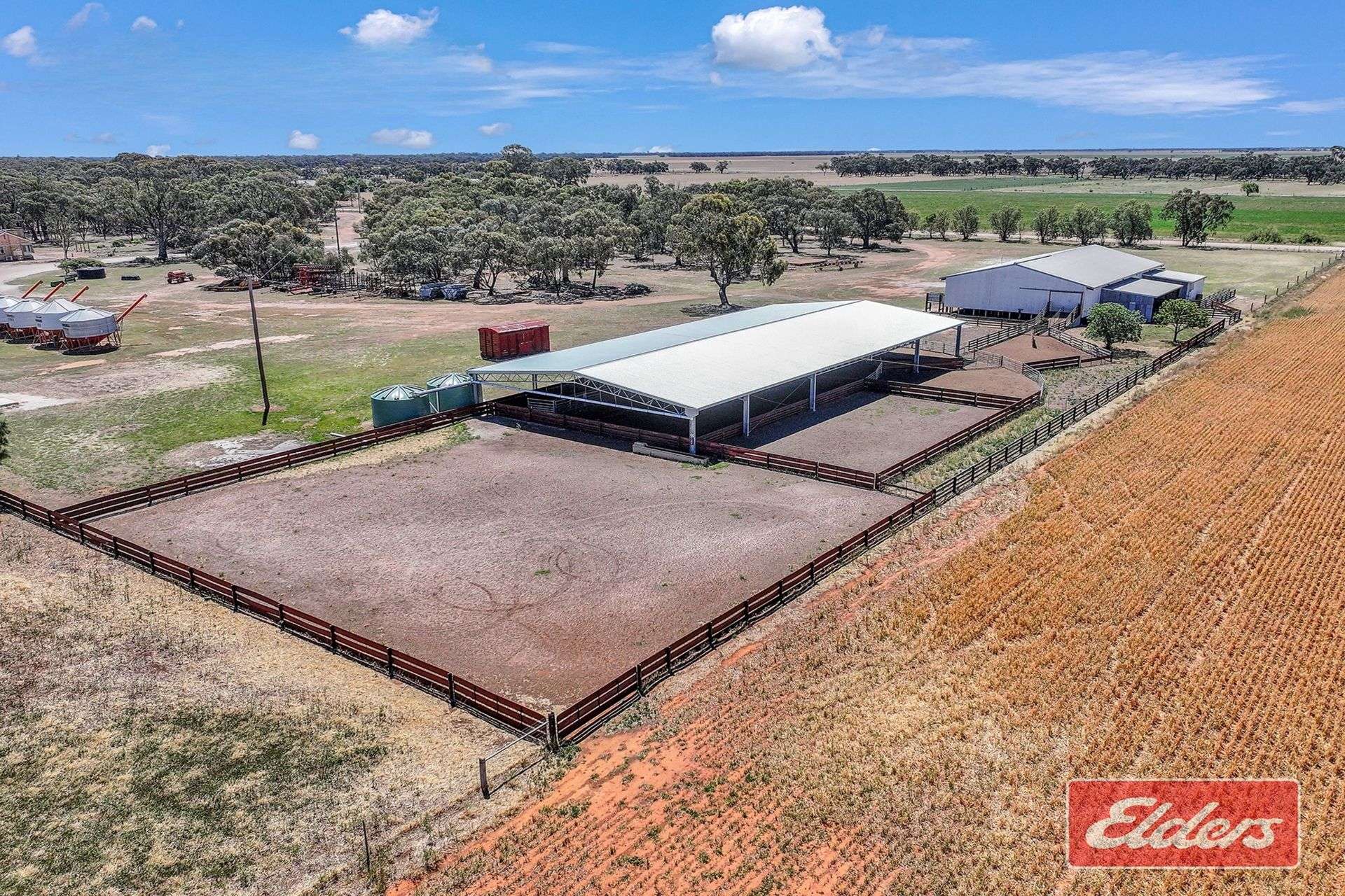 'Spring Grove' 298 Yarrawalla West Road, Yarrawalla For Sale by Farmbuy.com - image 6
