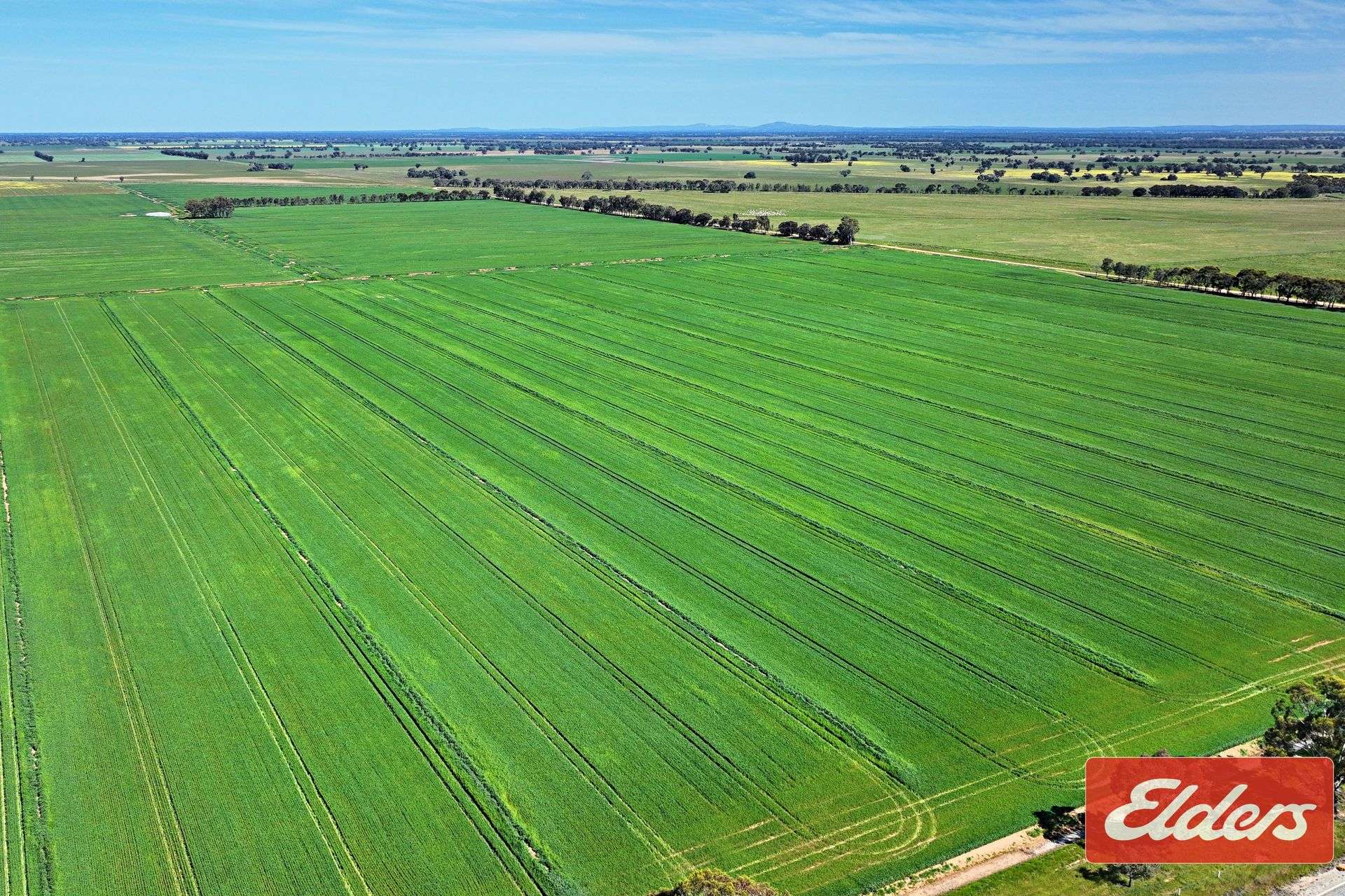 'Spring Grove' 298 Yarrawalla West Road, Yarrawalla For Sale by Farmbuy.com - image 2