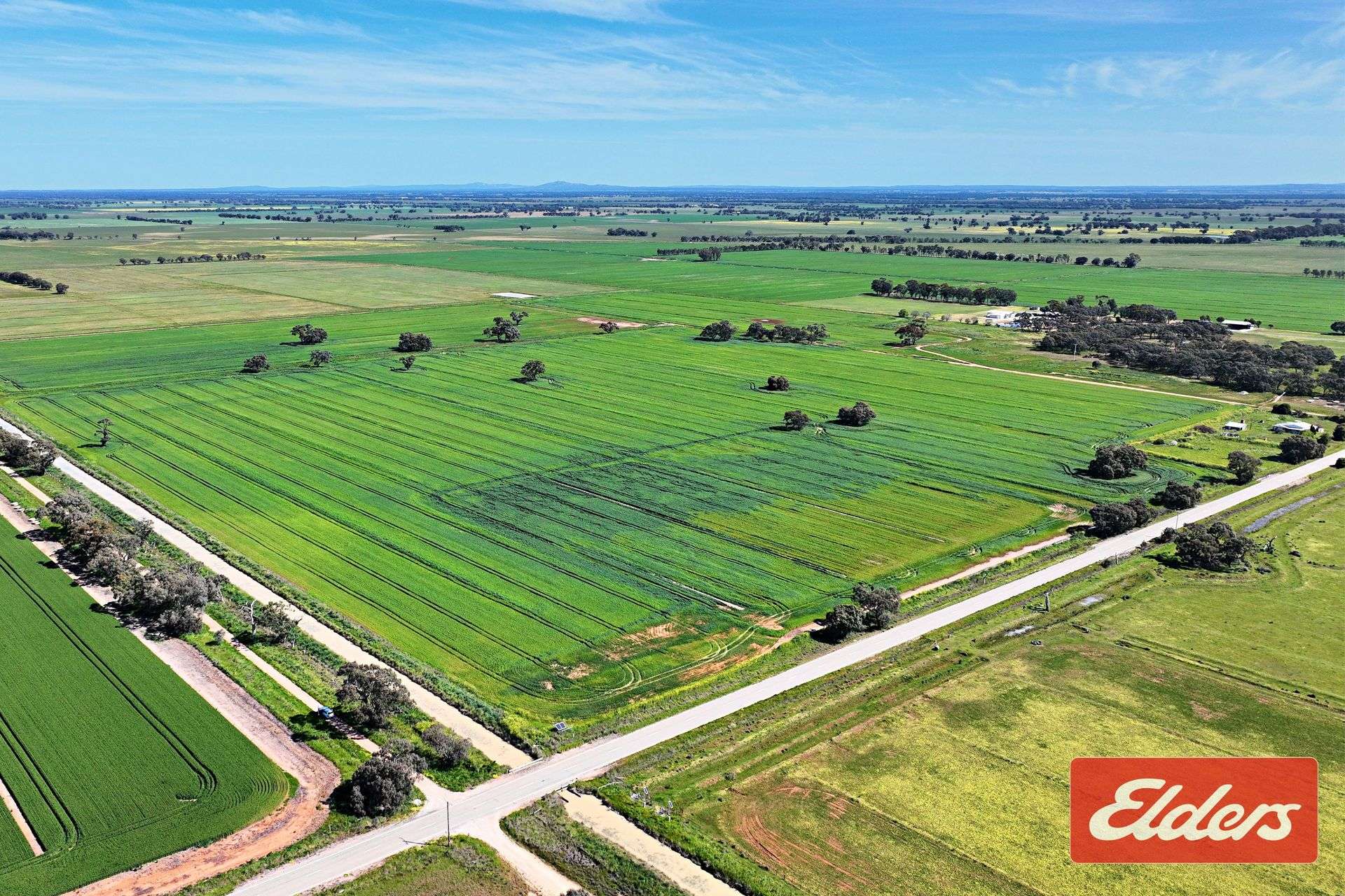 'Spring Grove' 298 Yarrawalla West Road, Yarrawalla For Sale by Farmbuy.com - image 25