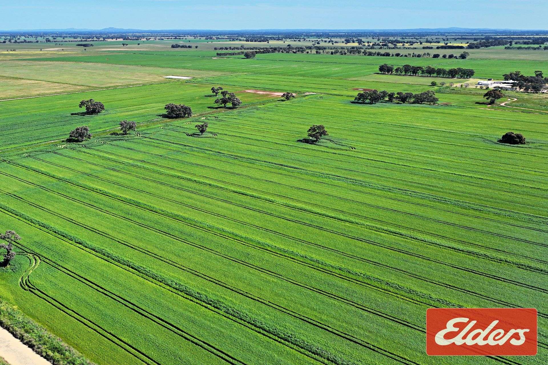 'Spring Grove' 298 Yarrawalla West Road, Yarrawalla For Sale by Farmbuy.com - image 20