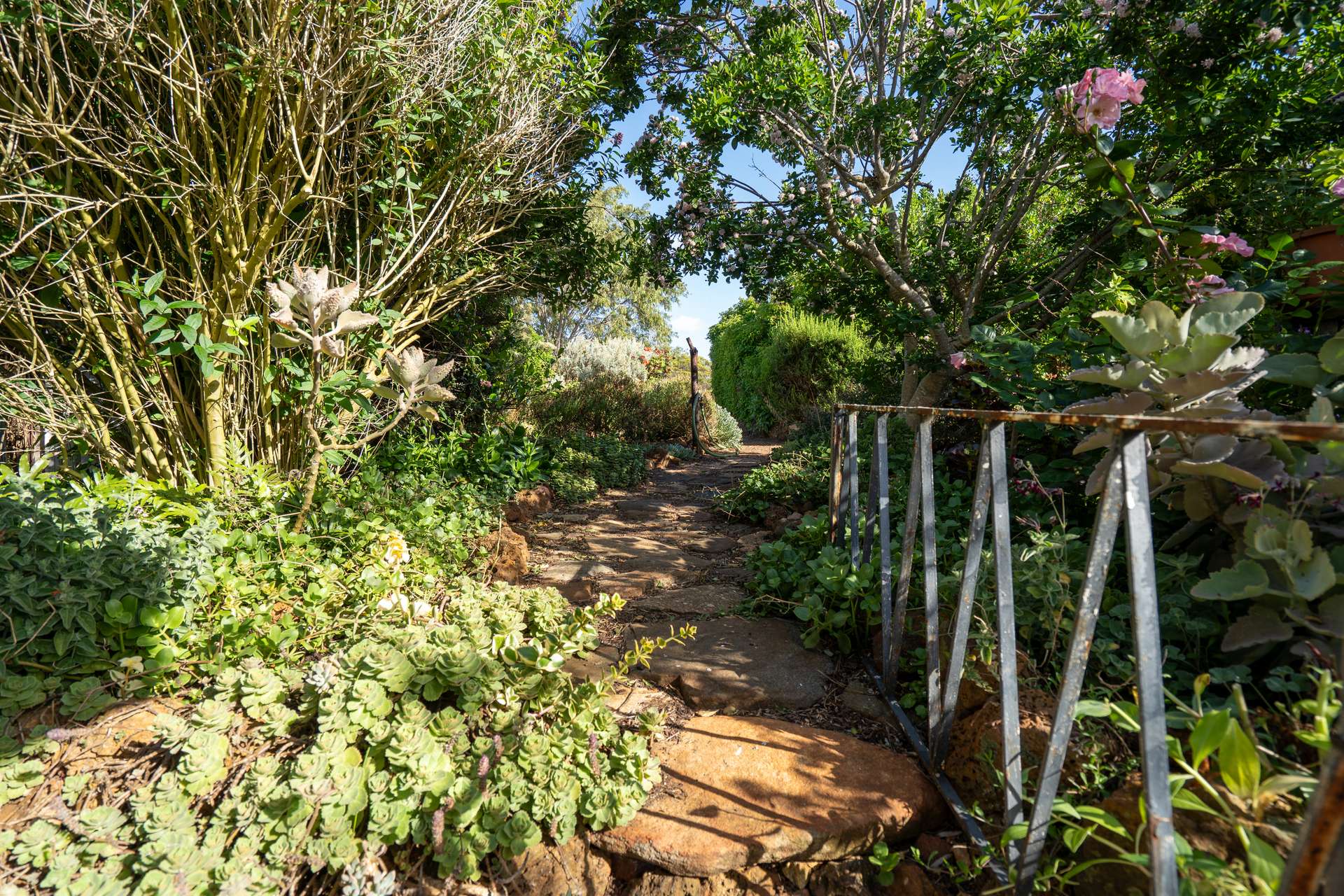 Lot 203/36195 South Coast Highway, Boxwood Hill Sold by Farmbuy.com - image 20