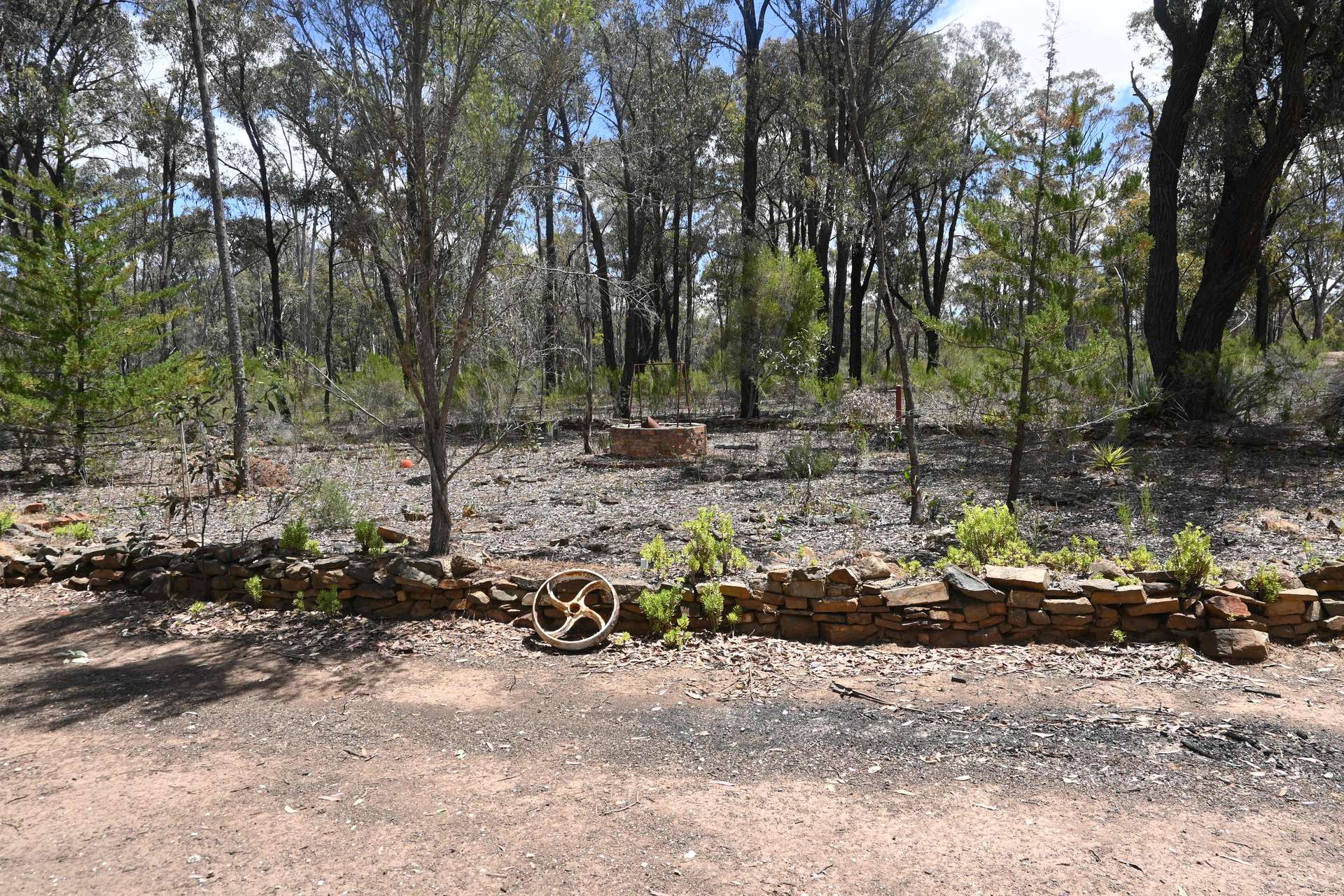 90 Dalmation Road, Moliagul For Sale by Farmbuy.com - image 18