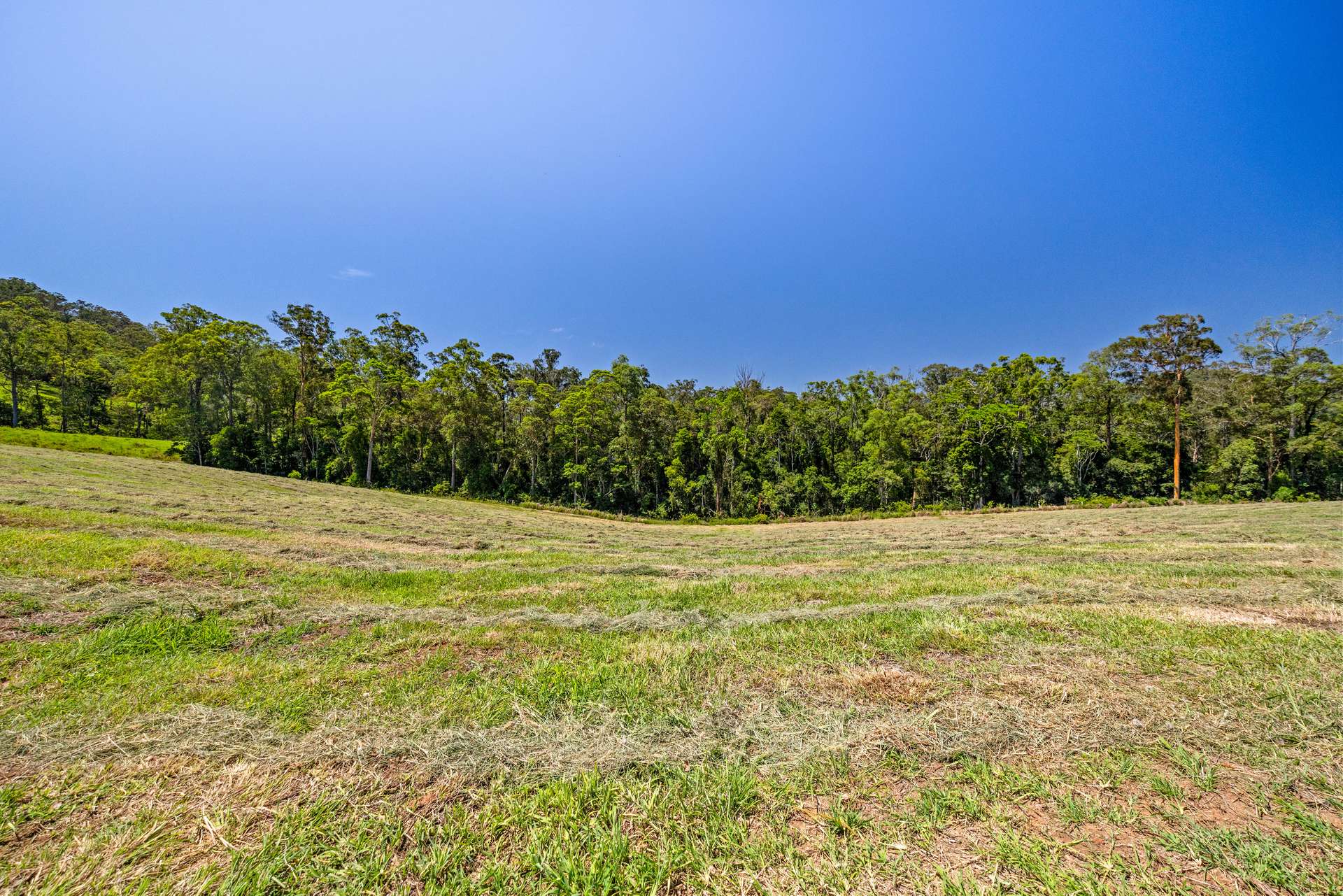 343 Happy Valley Road, Kandanga Creek Sold by Farmbuy.com - image 10