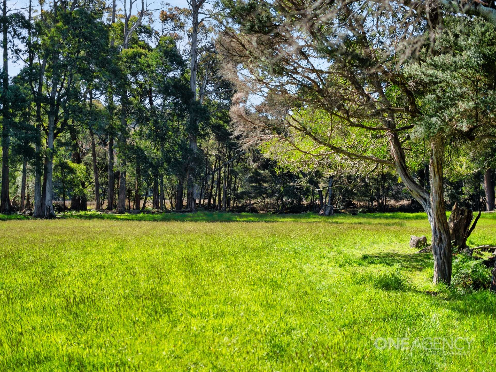 2112 Mawbanna Road, Mawbanna Sold by Farmbuy.com - image 25