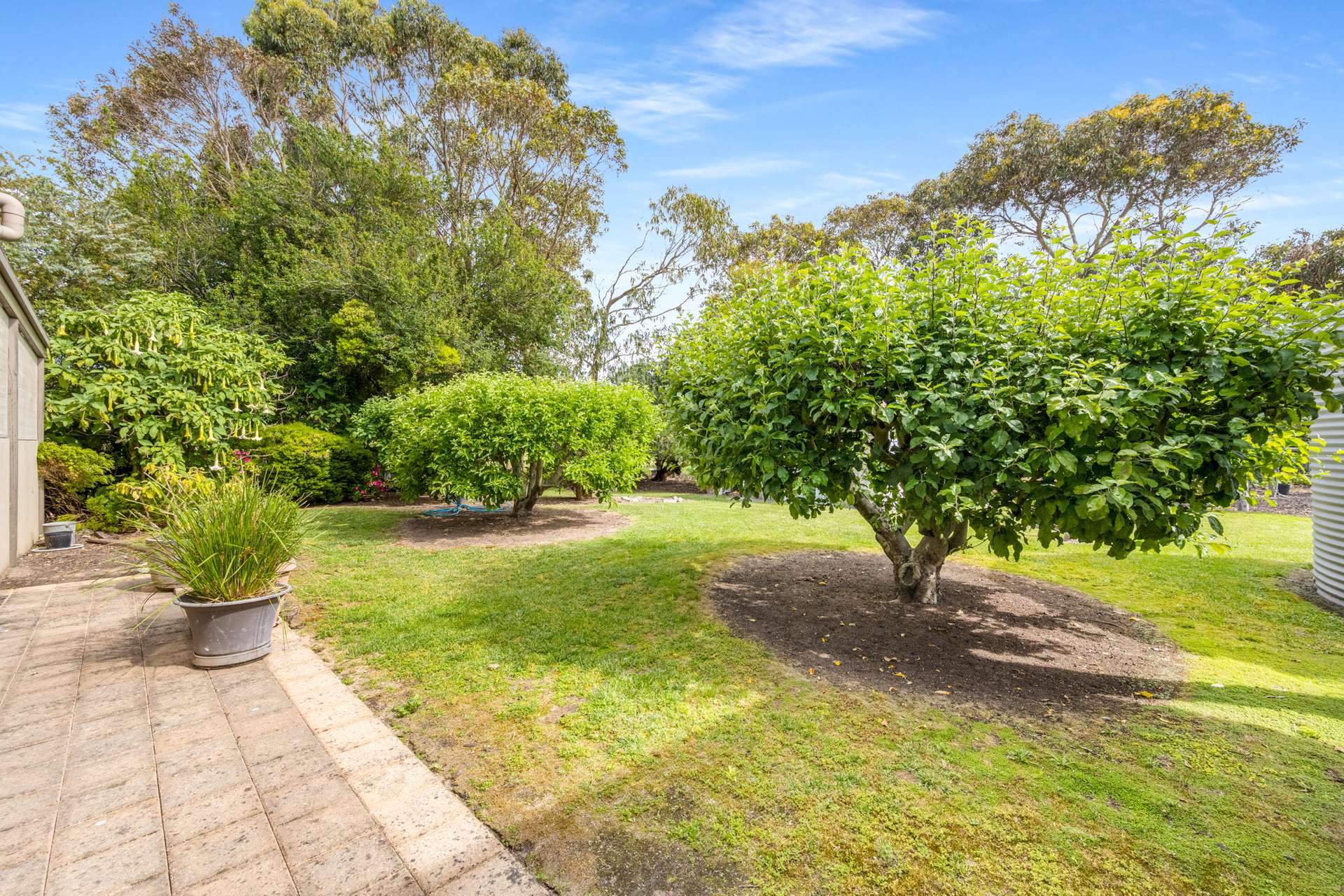 101 Grays Lane, Millicent Sold by Farmbuy.com - image 25