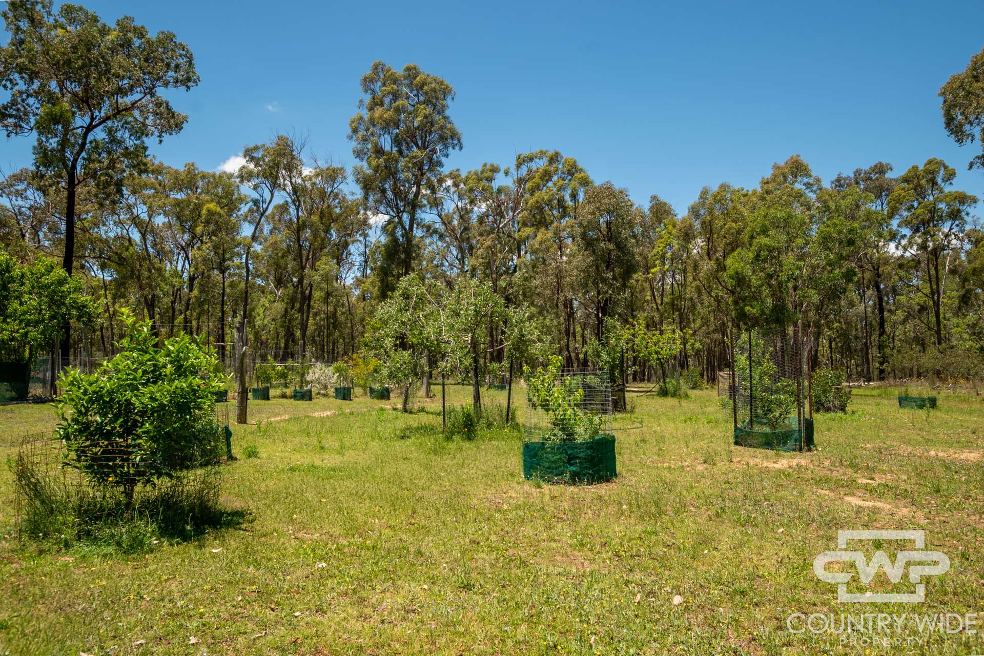 137 Aberdeen Road, Gilgai Sold by Farmbuy.com - image 21