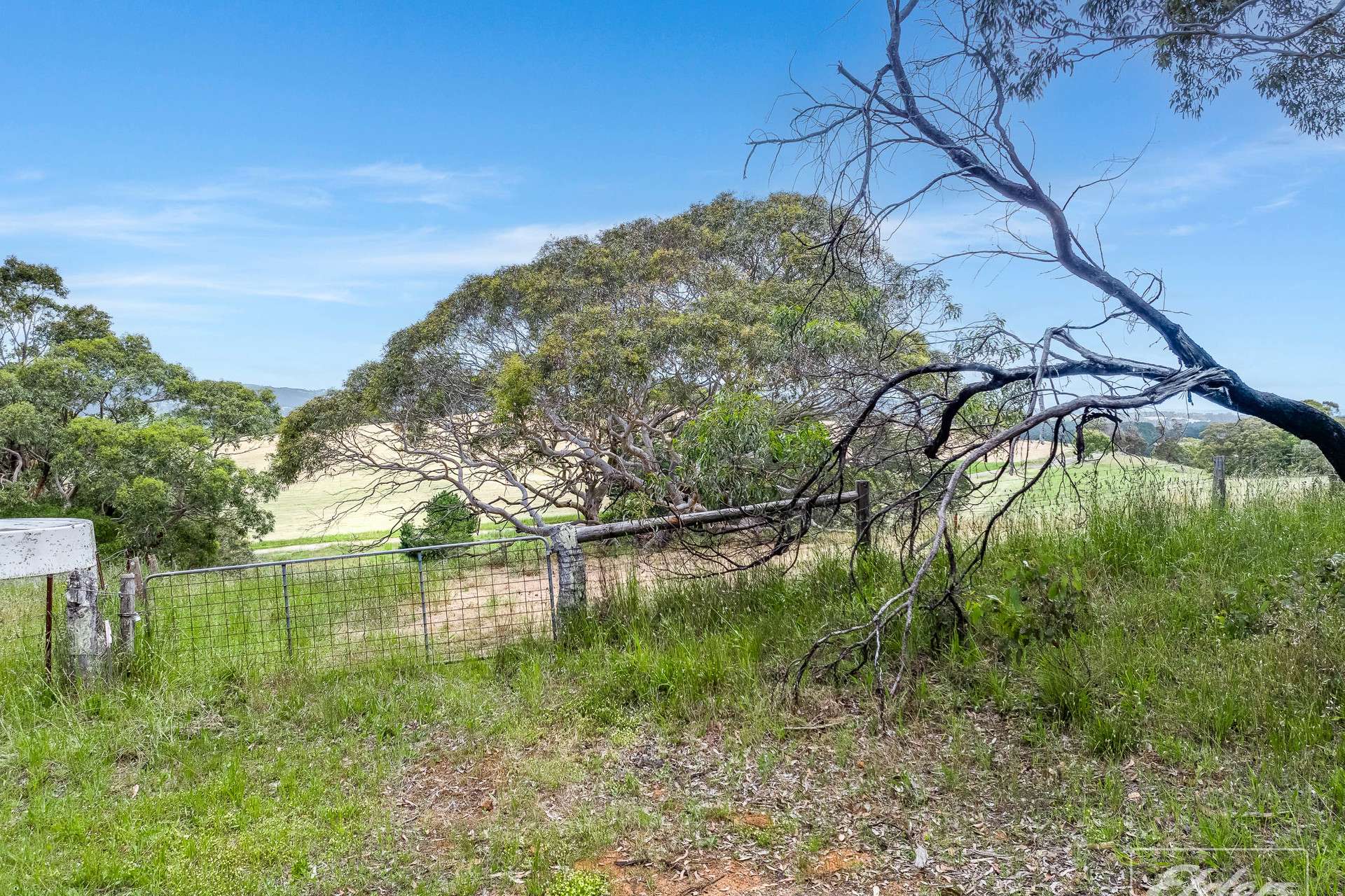 Reservoir Road, Myponga Sold by Farmbuy.com - image 14