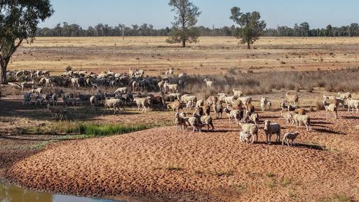 2633 Bruie Plains Road, Bruie Plains NSW 2875
