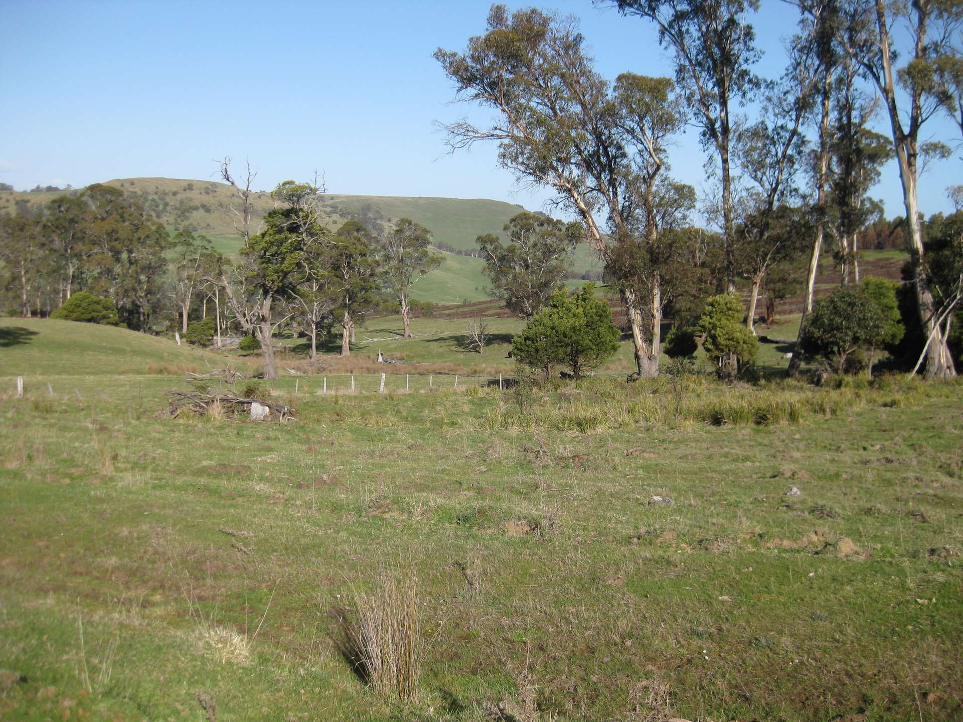 8415 Lyell Highway, Ouse For Sale by Farmbuy.com - image 13