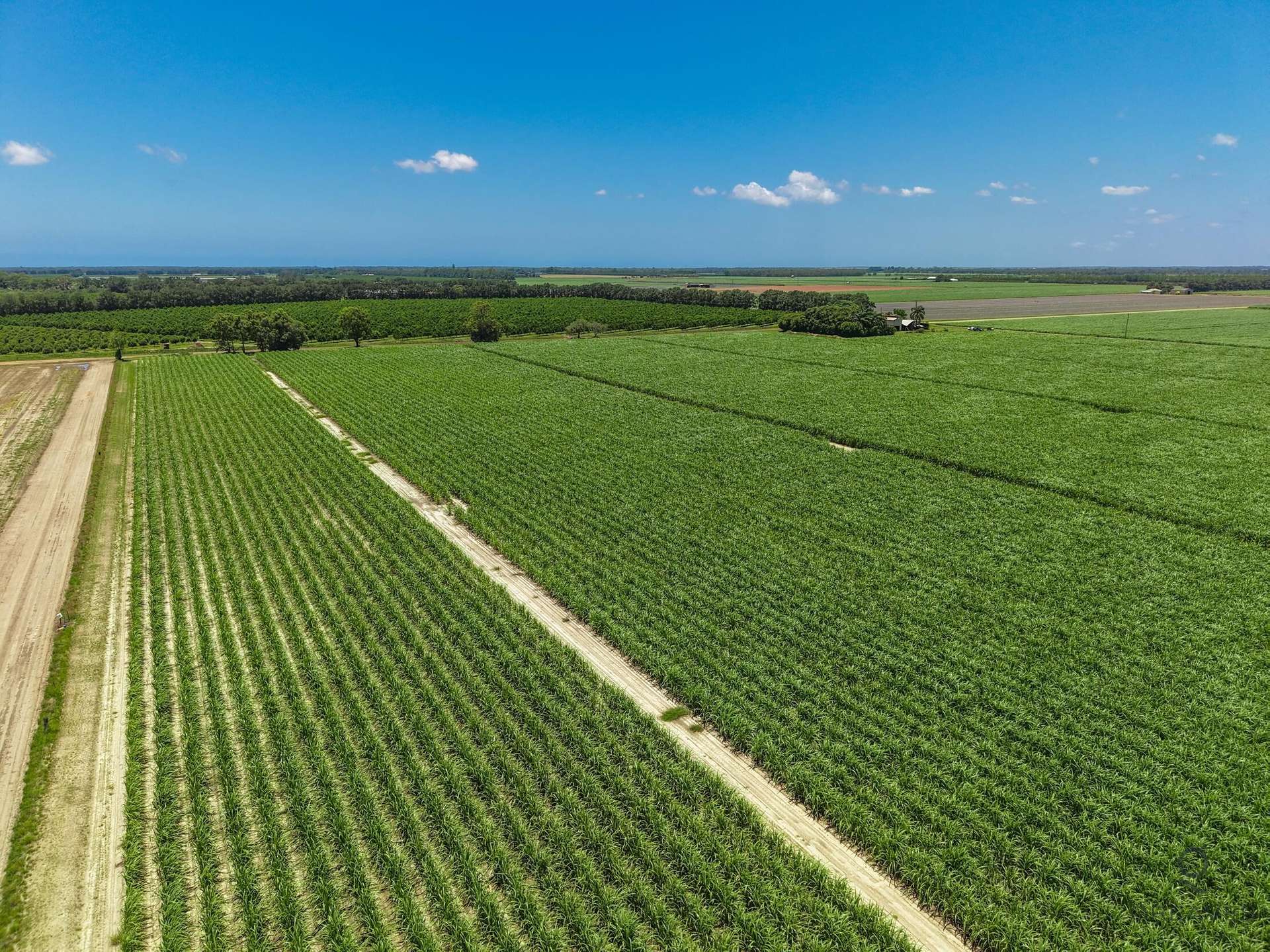 Lot 2 Barazzas Road, Alloway For Sale by Farmbuy.com - image 3