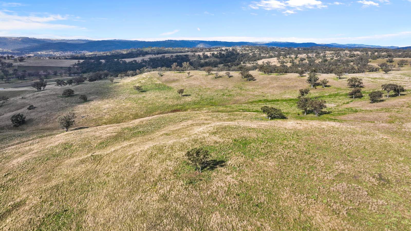 2741 Bunnan Road, Bunnan For Sale by Farmbuy.com - image 11